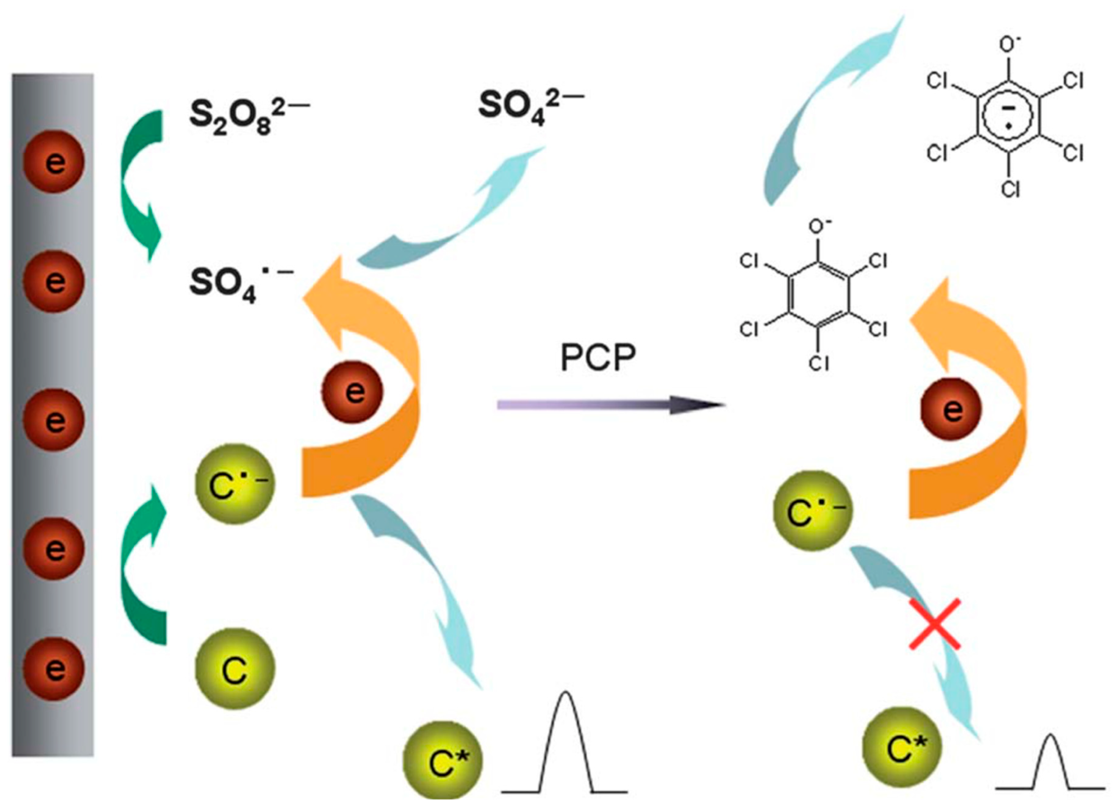 Chemosensors 10 00367 g008