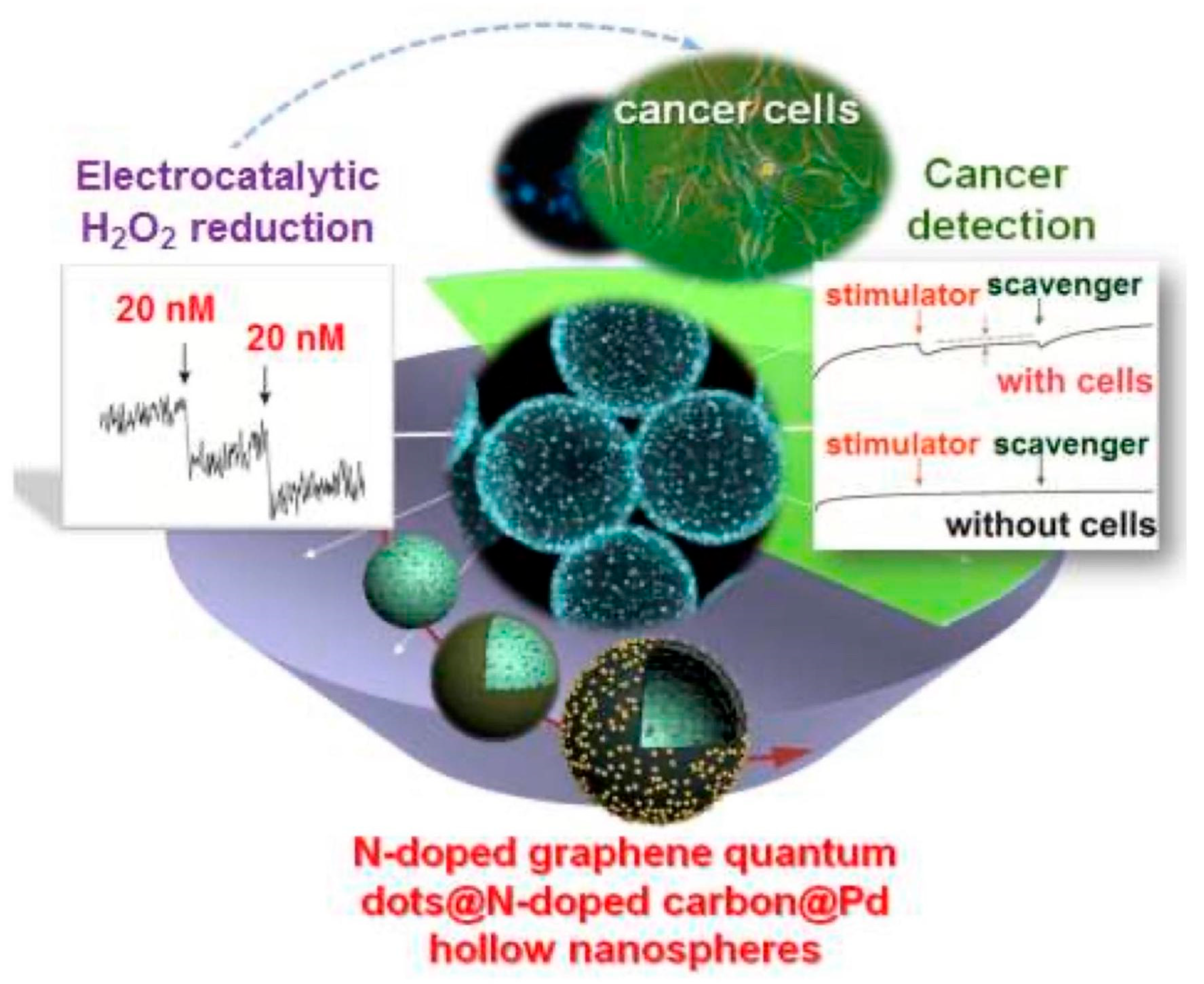 Chemosensors 10 00367 g009