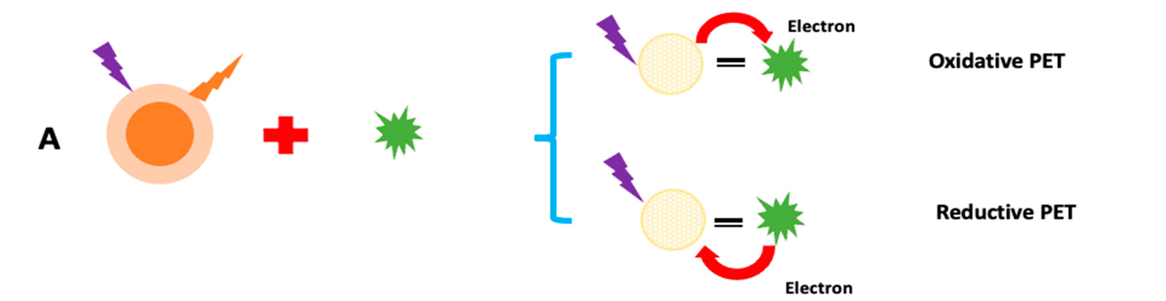 Chemosensors 10 00367 g011a