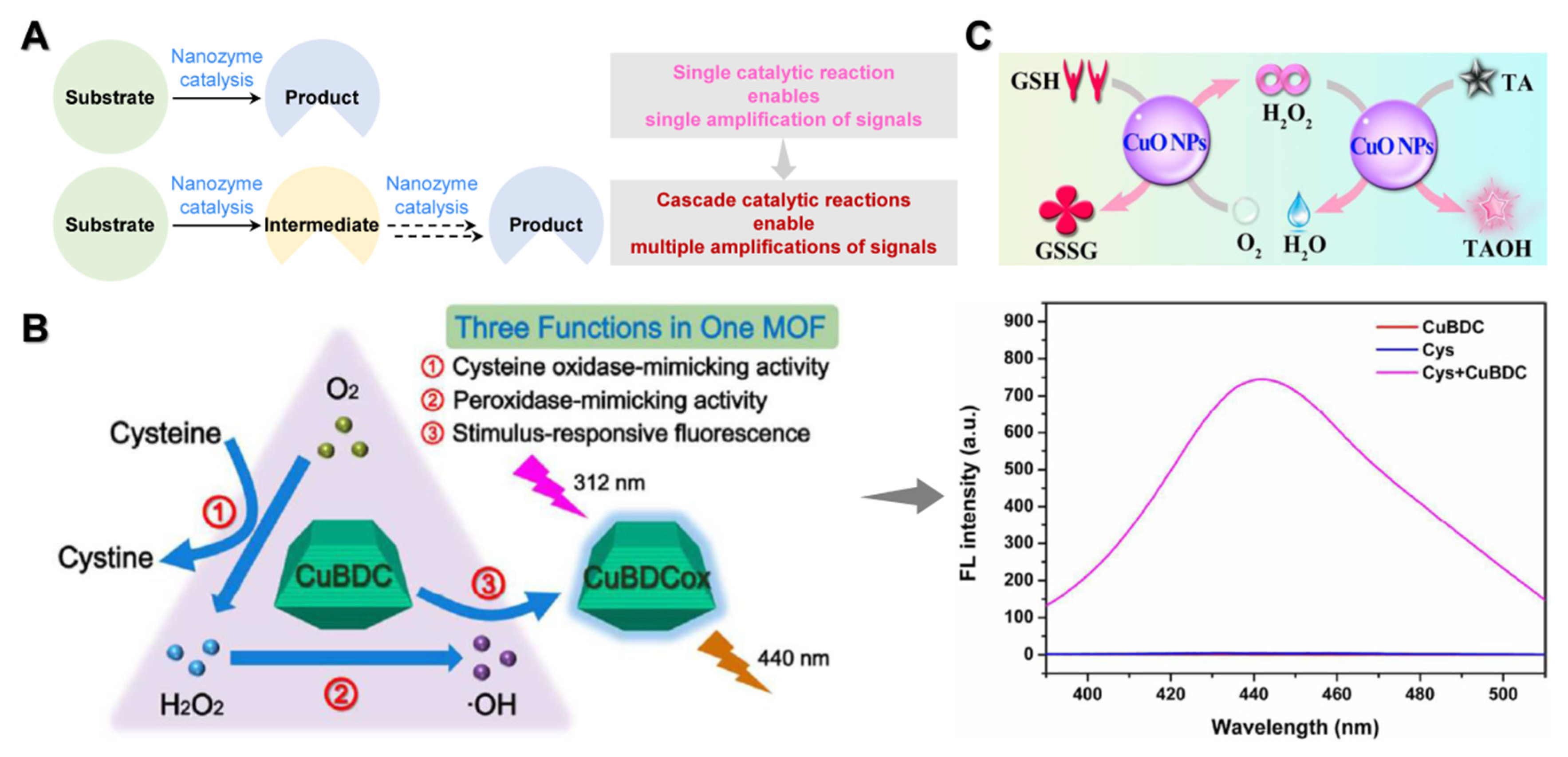 Chemosensors 10 00386 g003