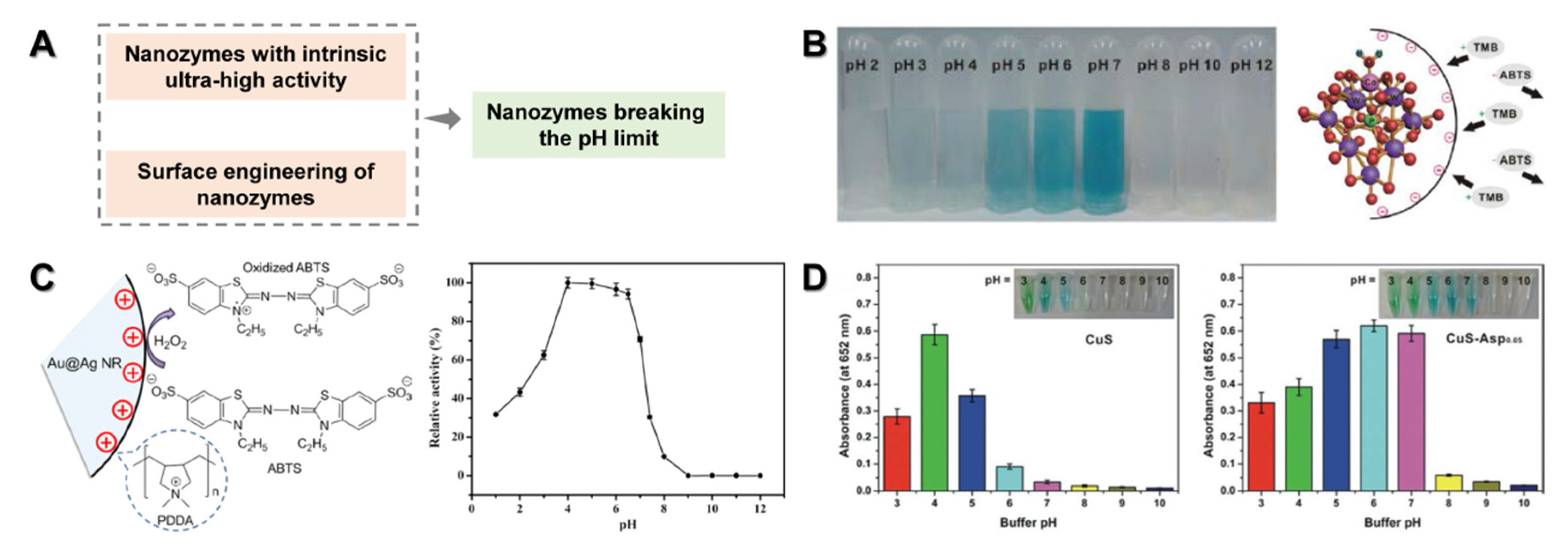 Chemosensors 10 00386 g006