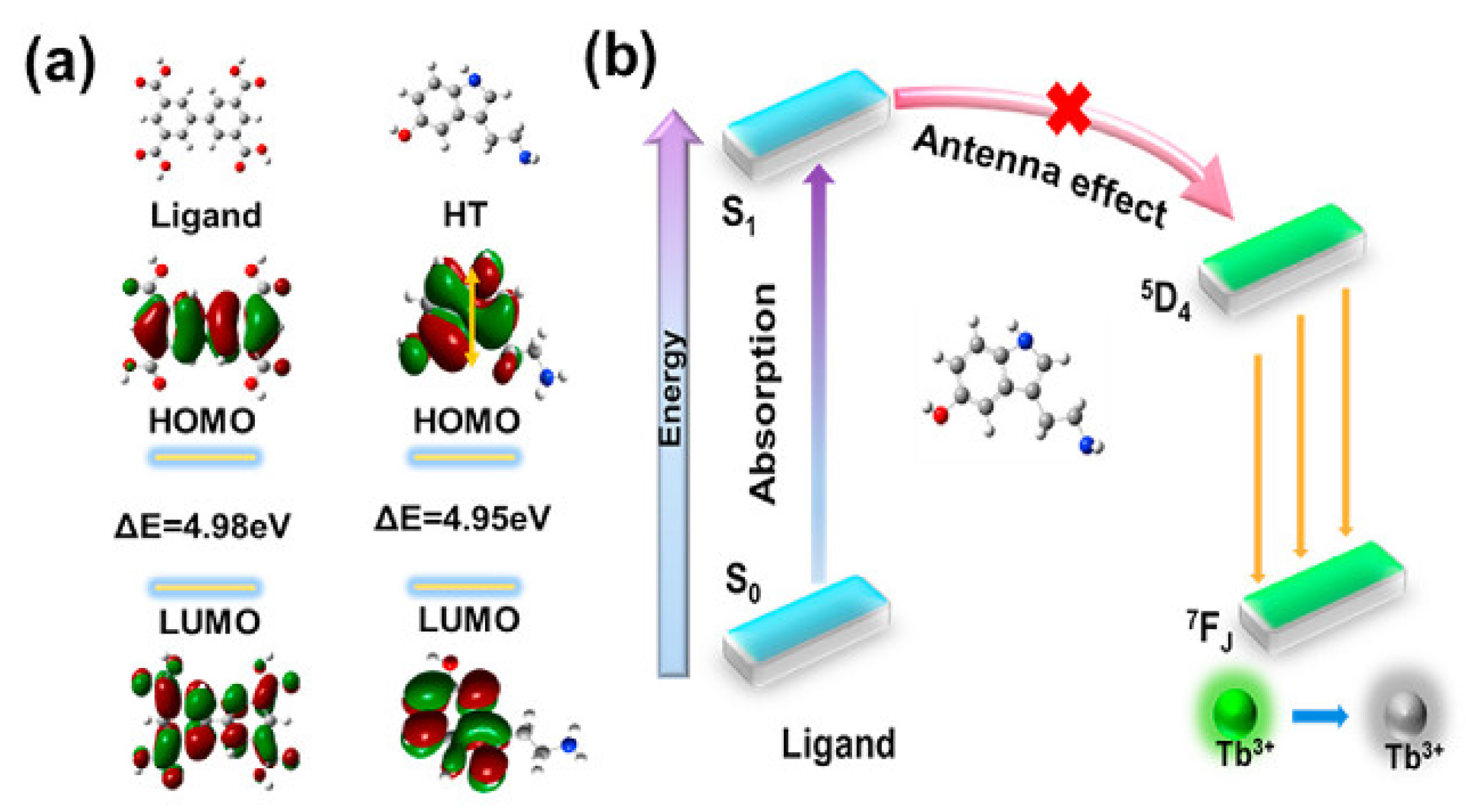 Chemosensors 10 00412 g001