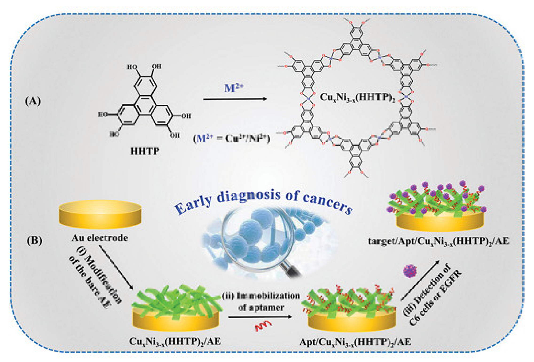 Chemosensors 10 00412 g005