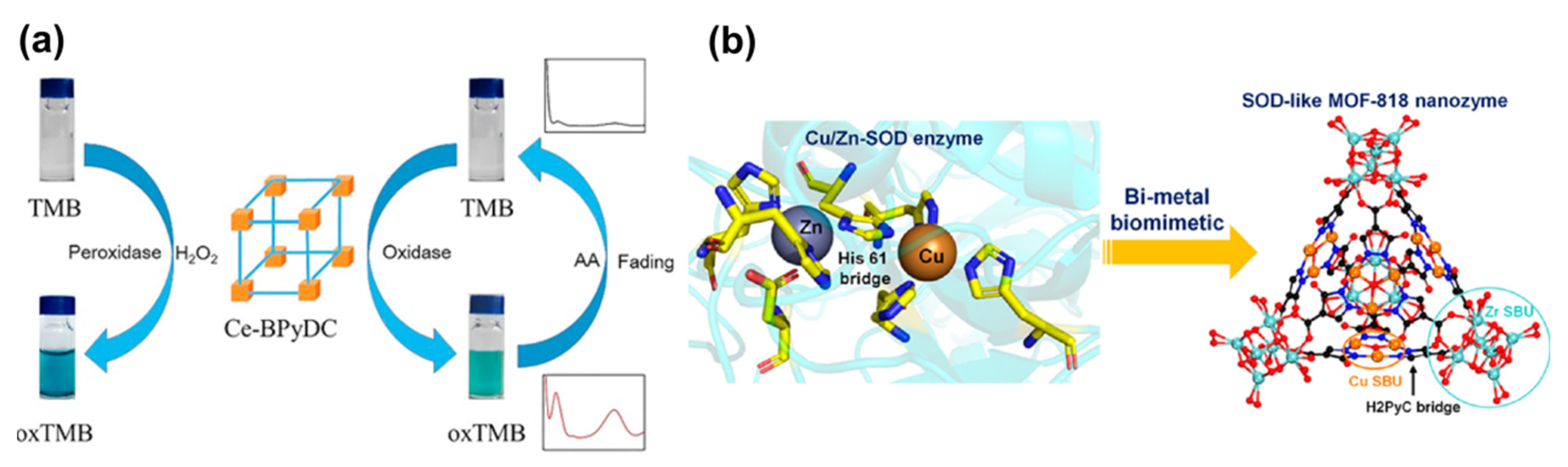 Chemosensors 10 00412 g007