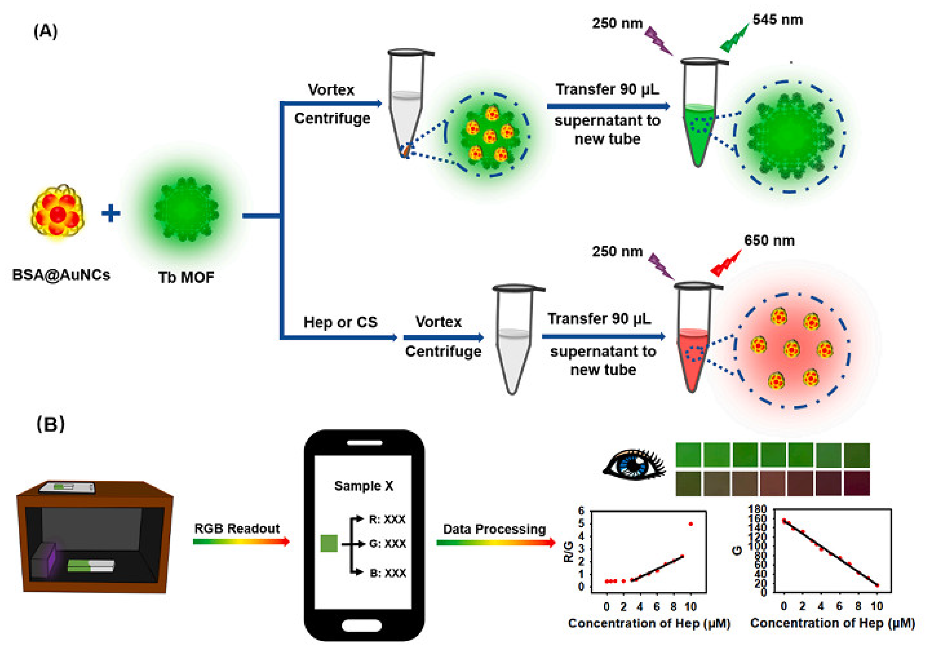 Chemosensors 10 00412 g013