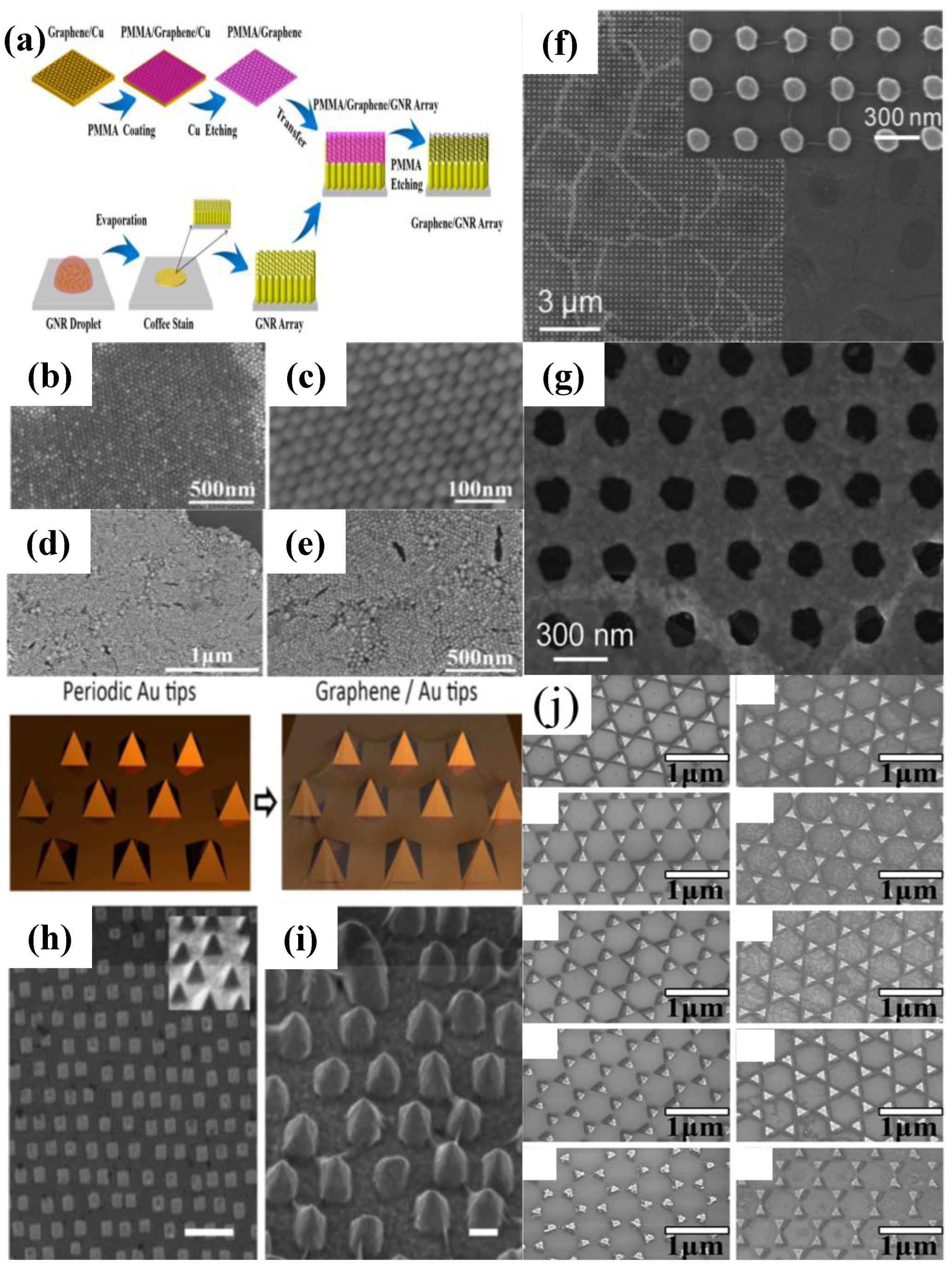 Chemosensors 10 00455 g002