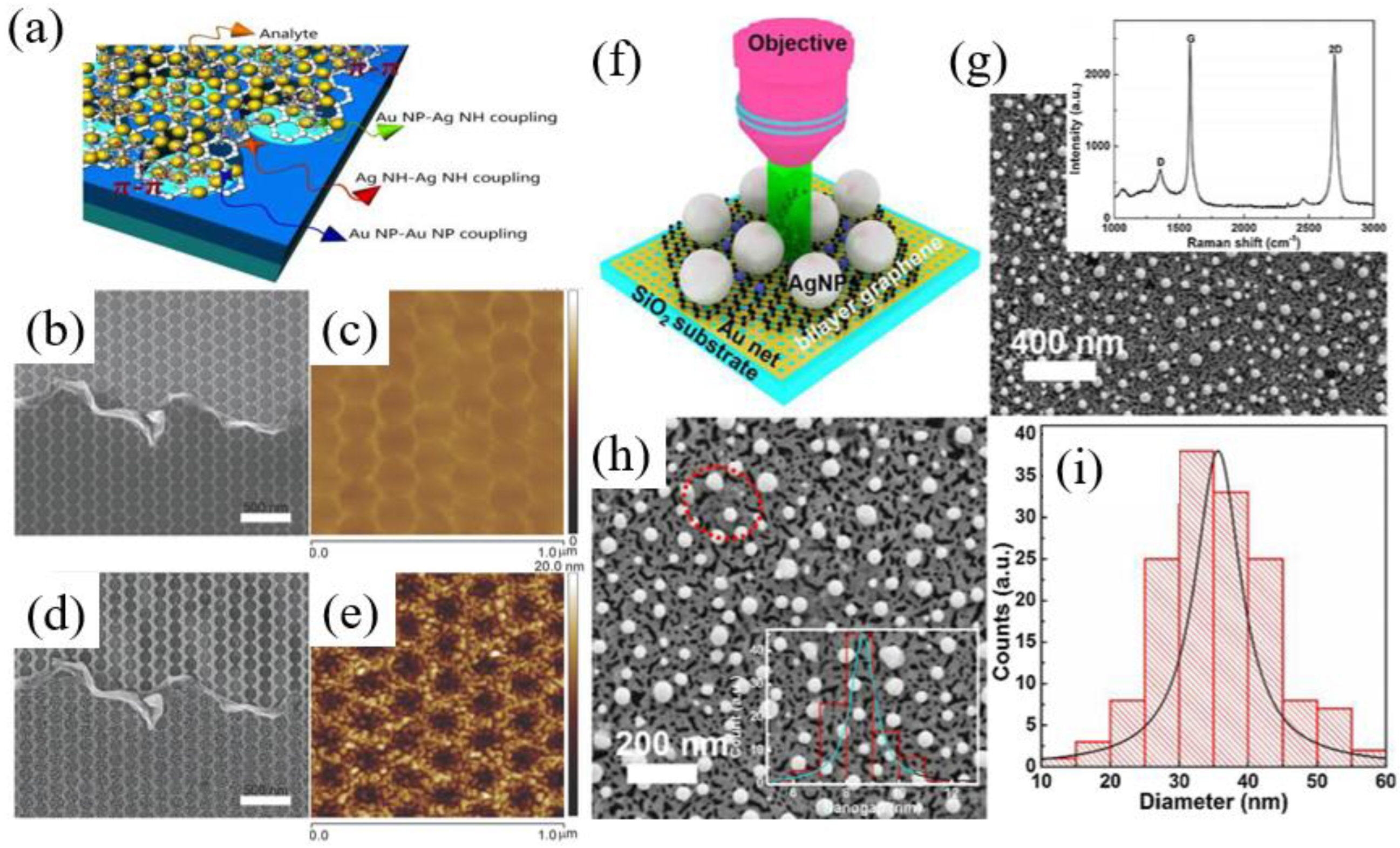 Chemosensors 10 00455 g004