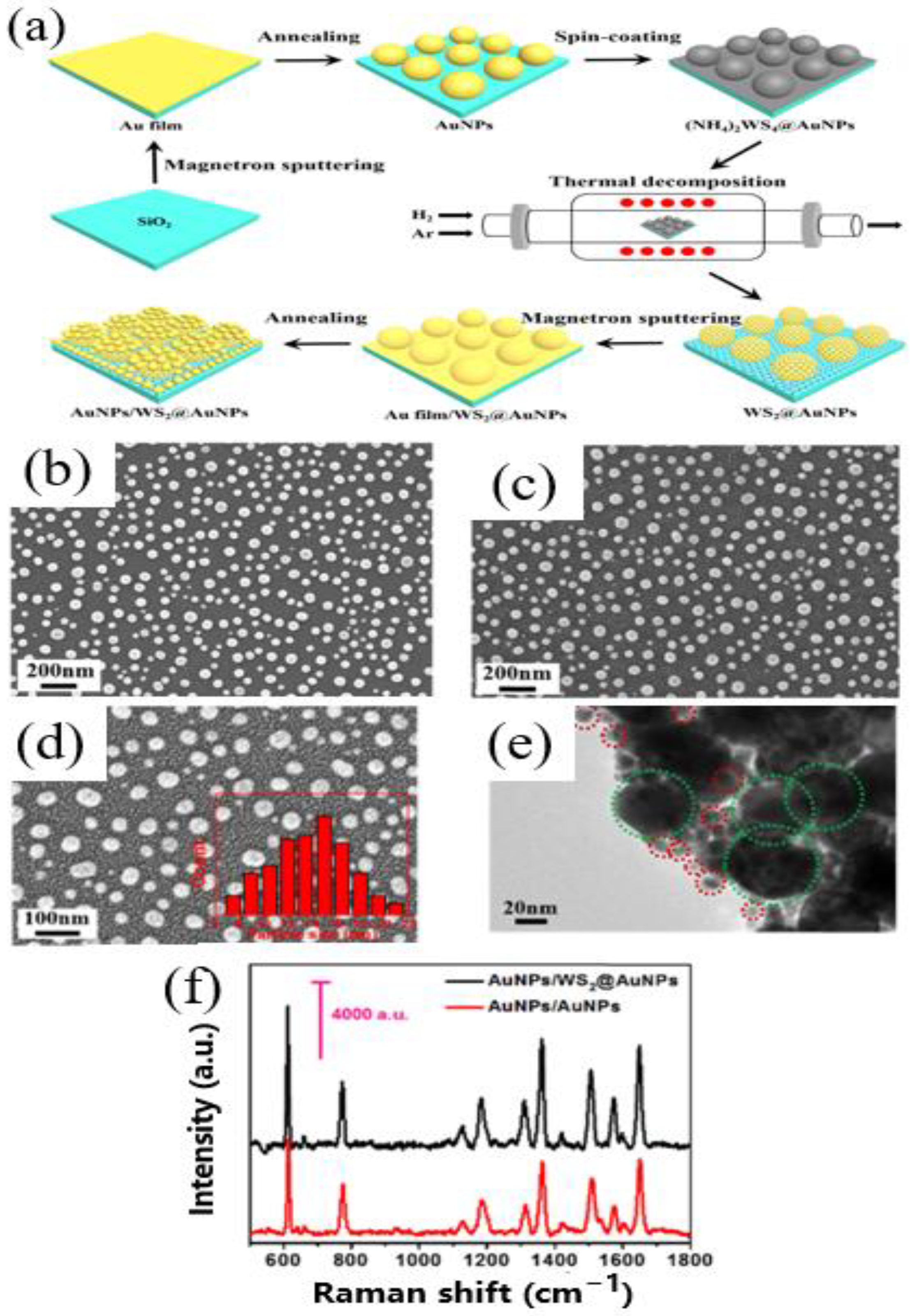 Chemosensors 10 00455 g011