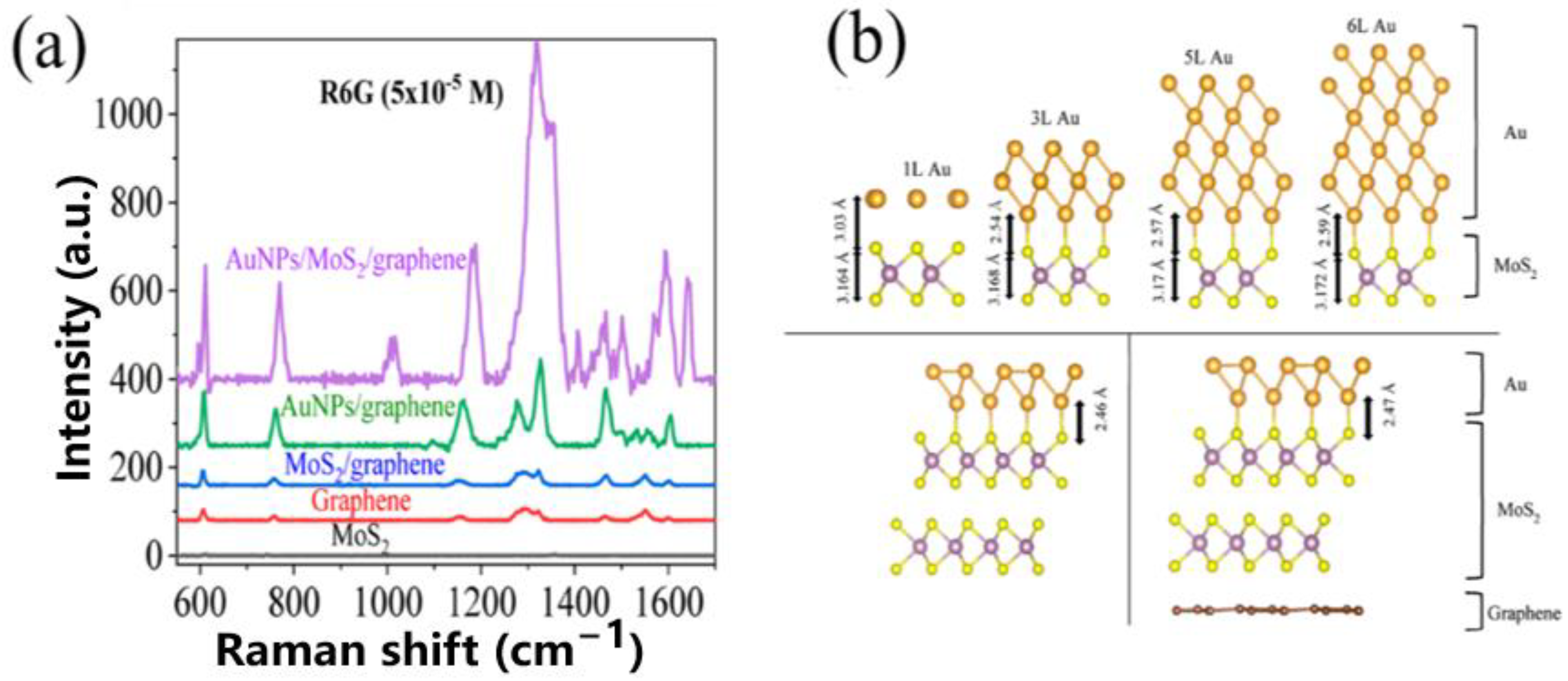 Chemosensors 10 00455 g012