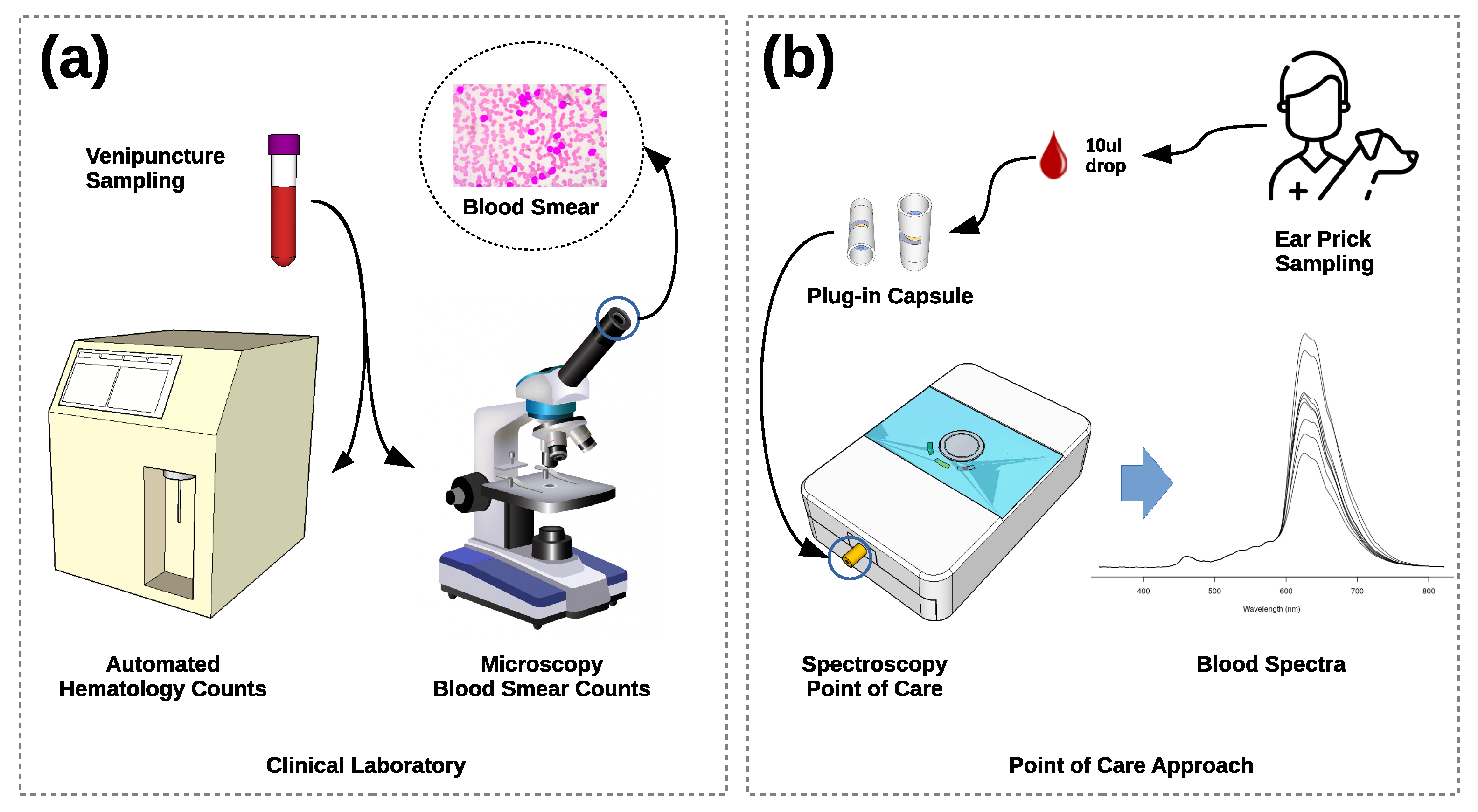 Chemosensors 10 00460 g001