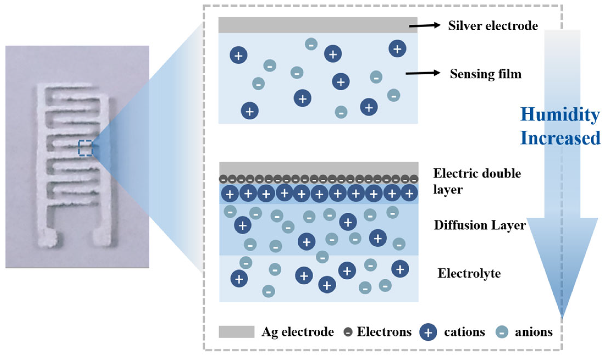 Chemosensors 10 00464 g008