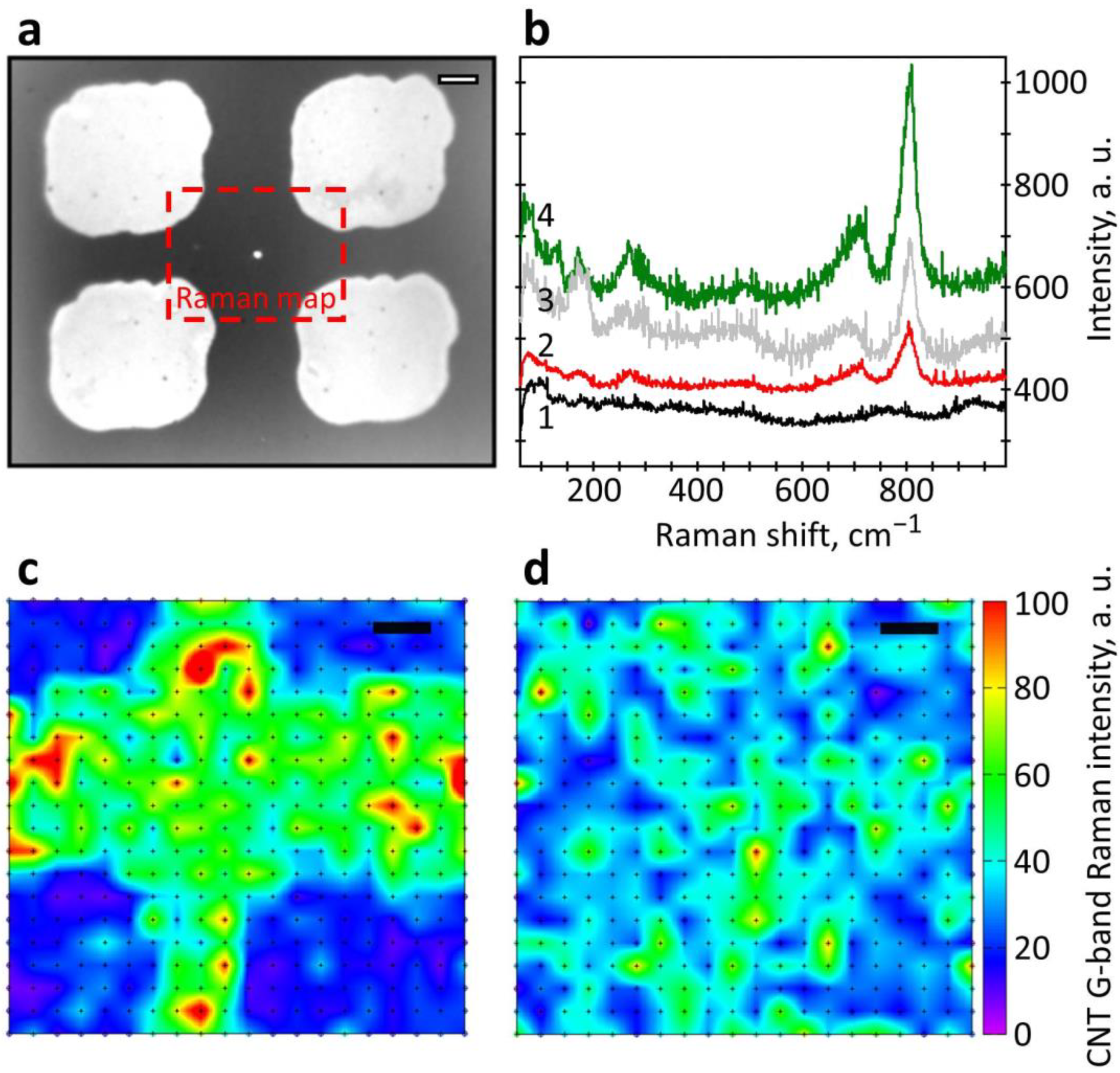 Chemosensors 10 00476 g004