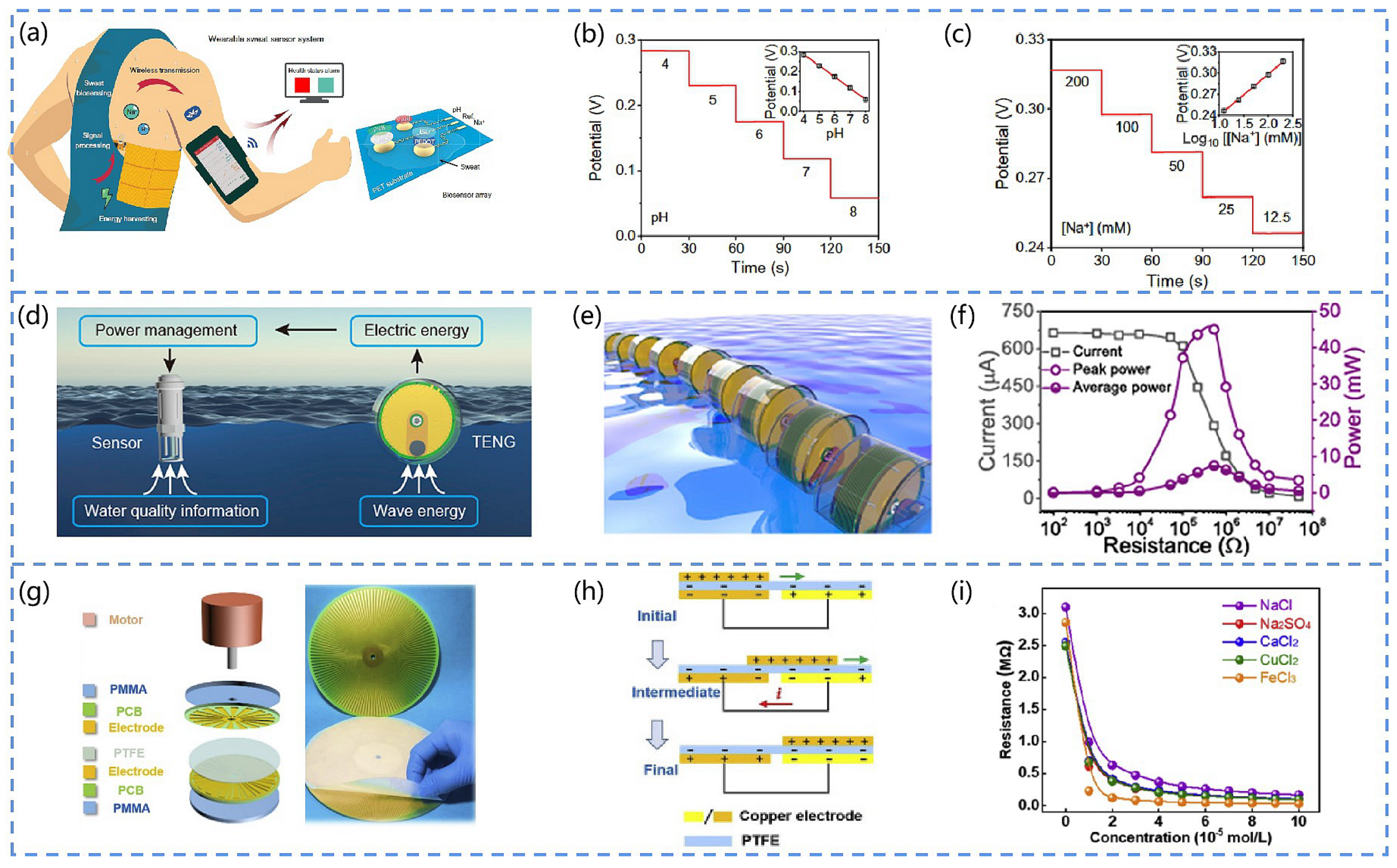 Chemosensors 10 00484 g009
