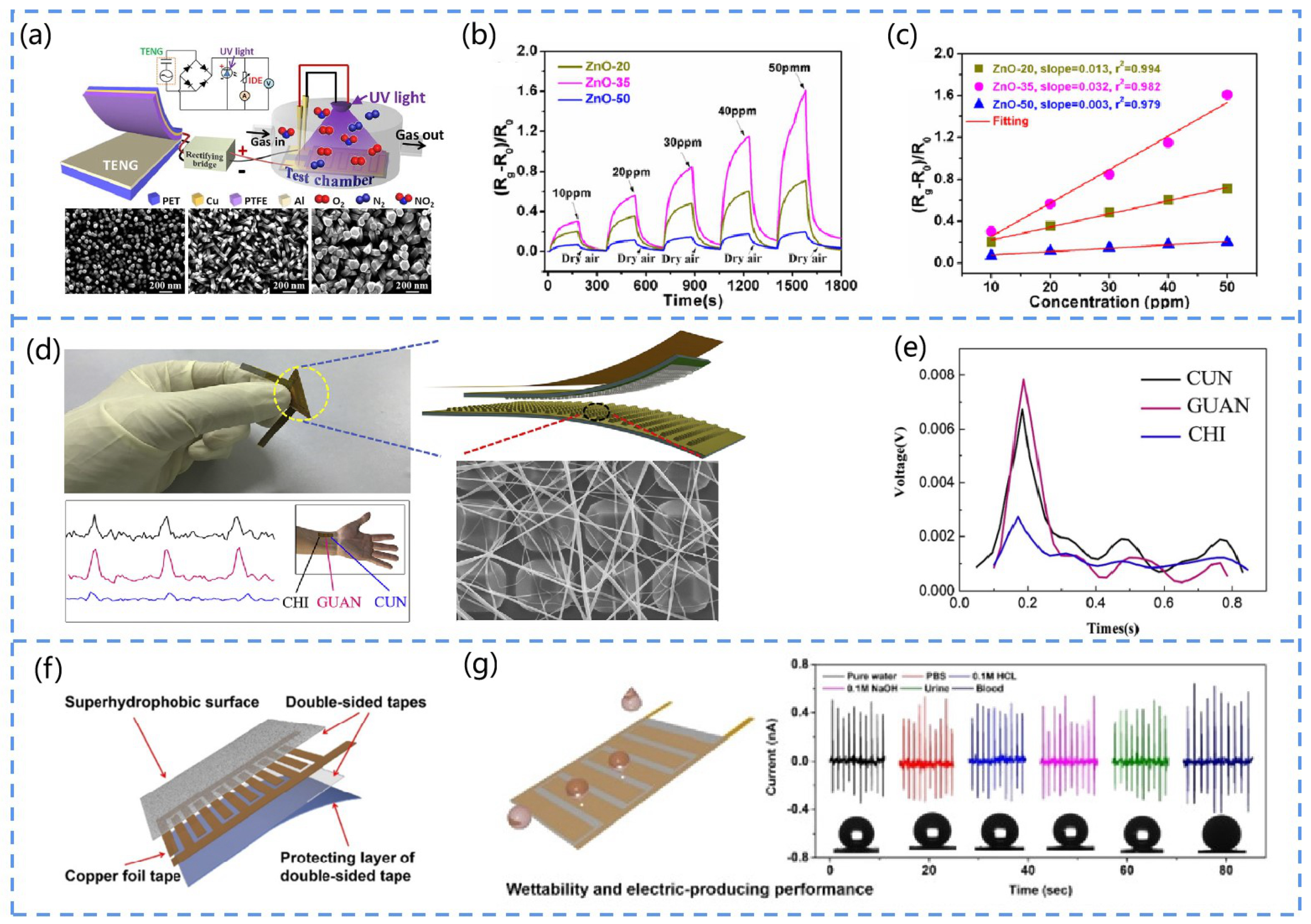 Chemosensors 10 00484 g011