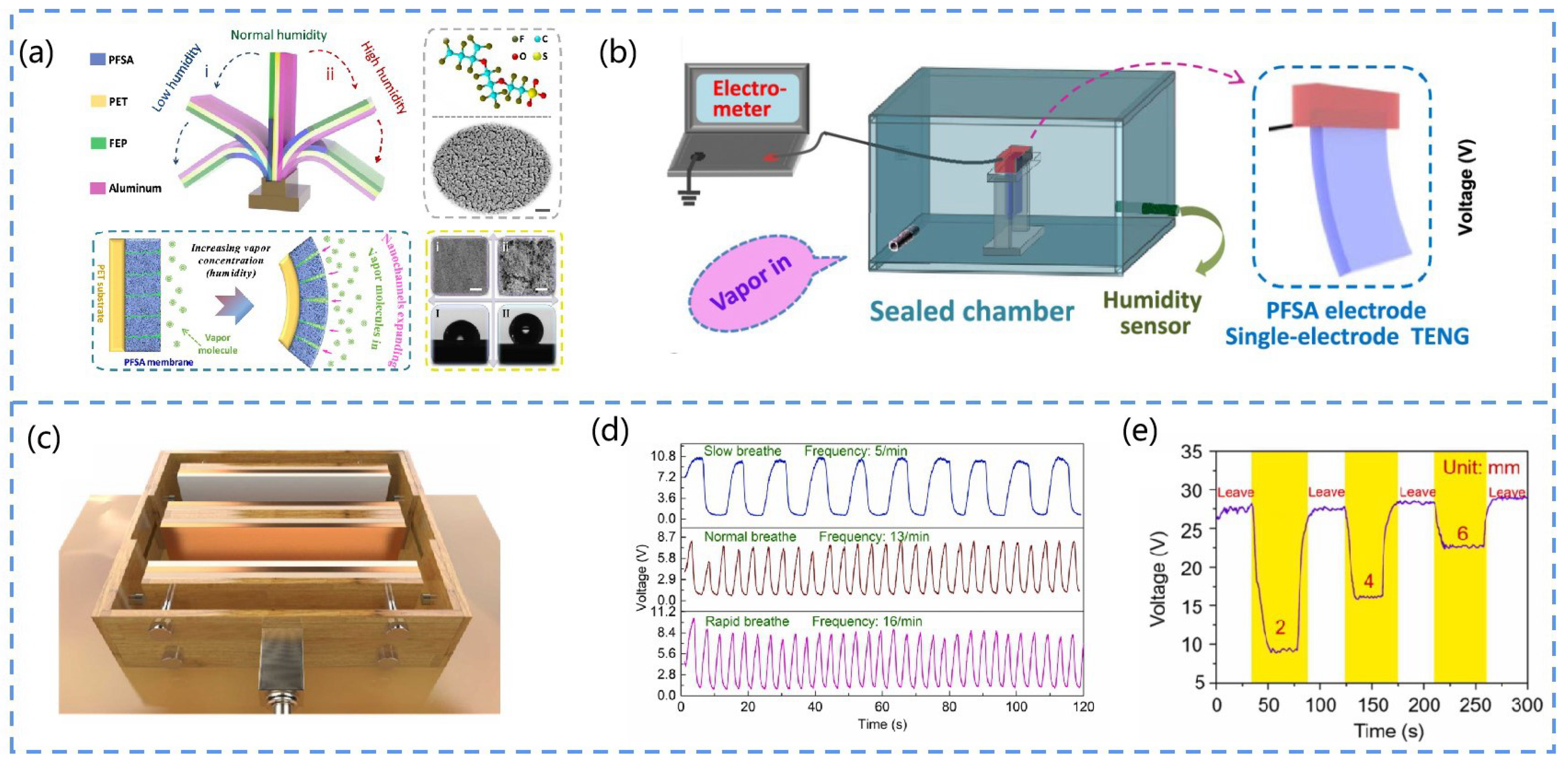 Chemosensors 10 00484 g012