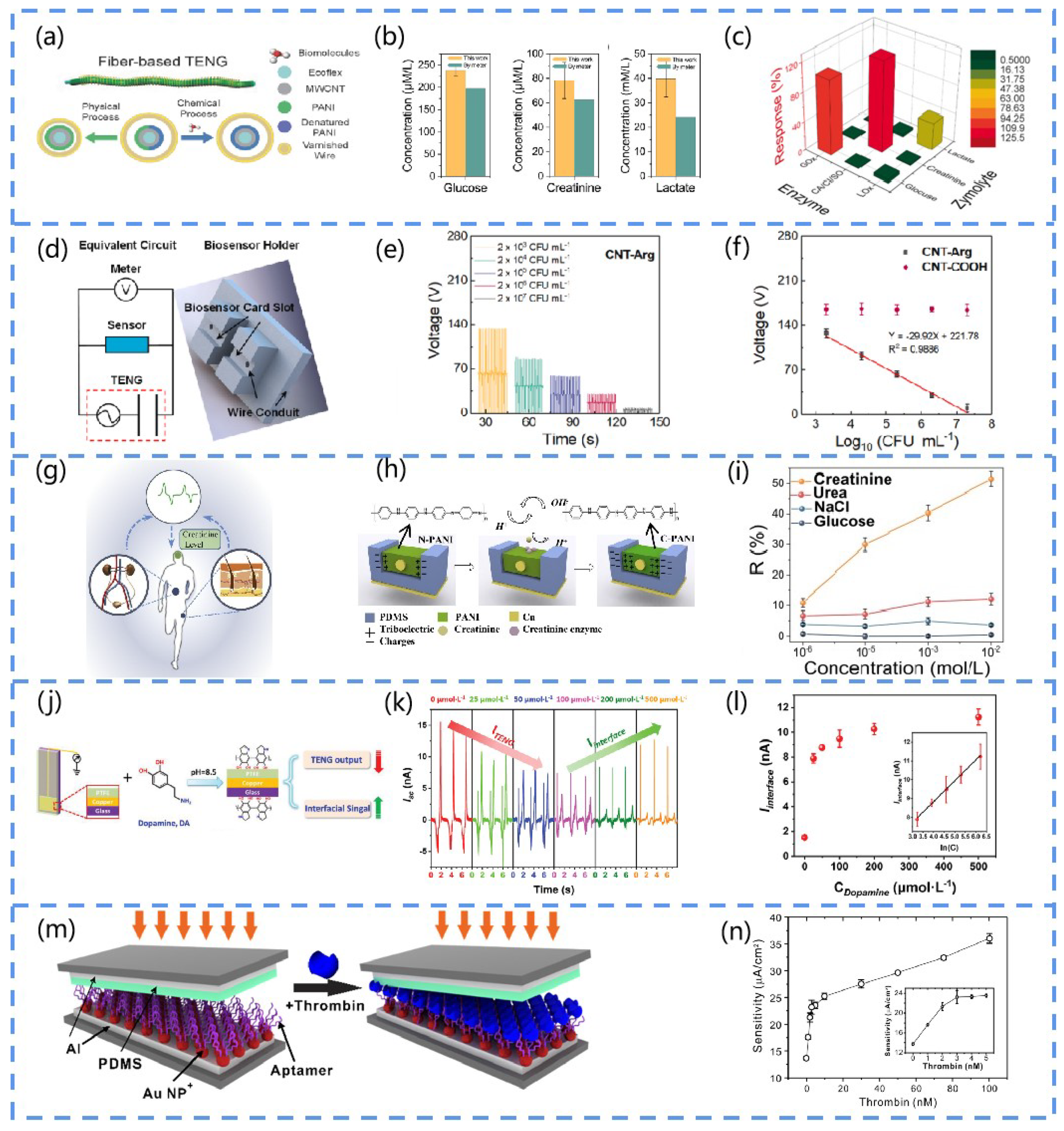 Chemosensors 10 00484 g013