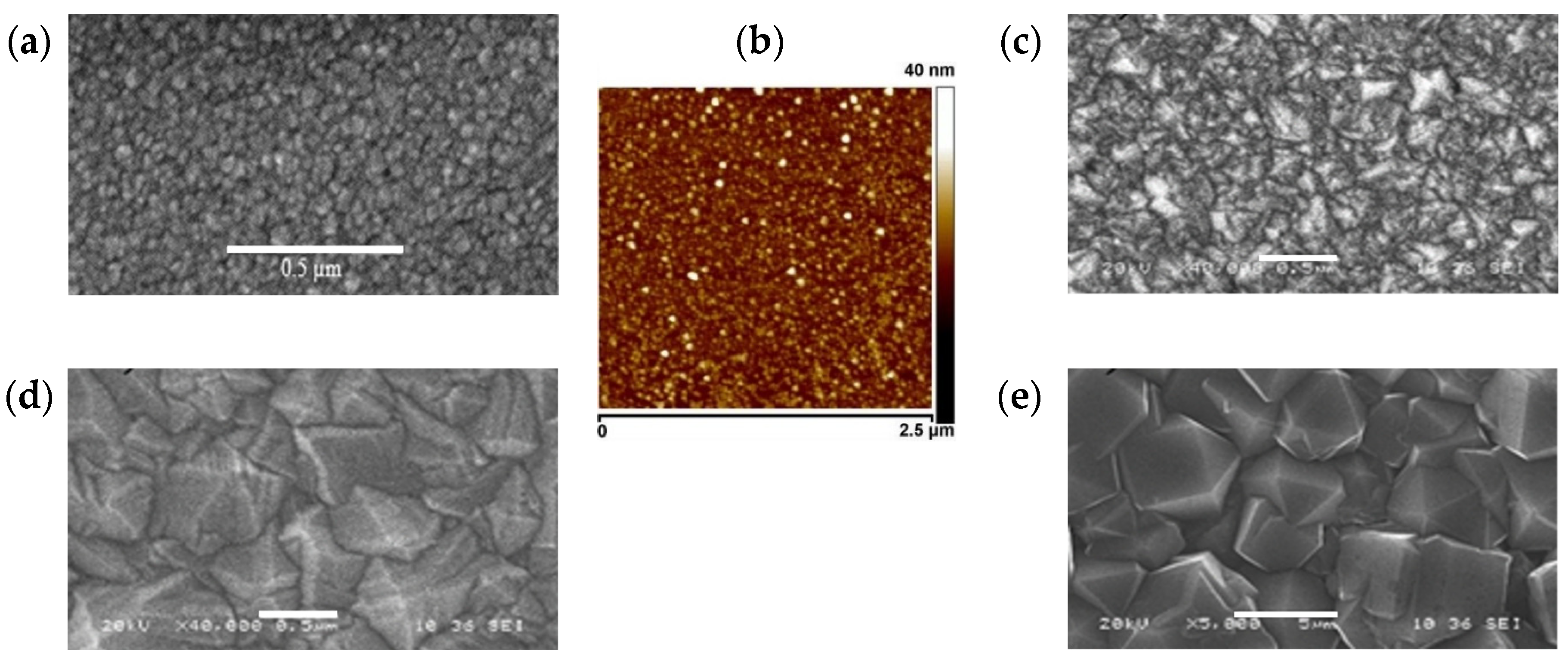 Chemosensors 10 00488 g001