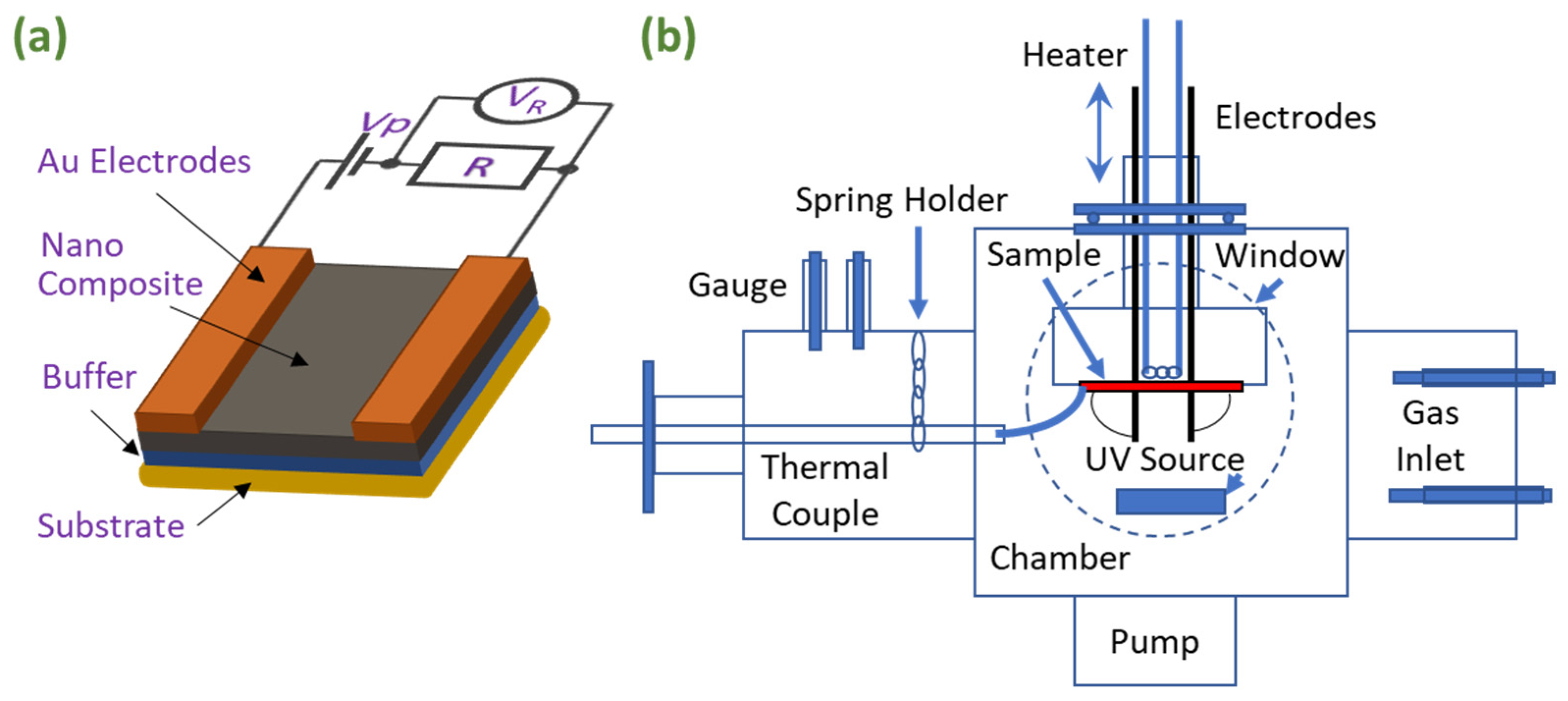 Chemosensors 10 00488 g003