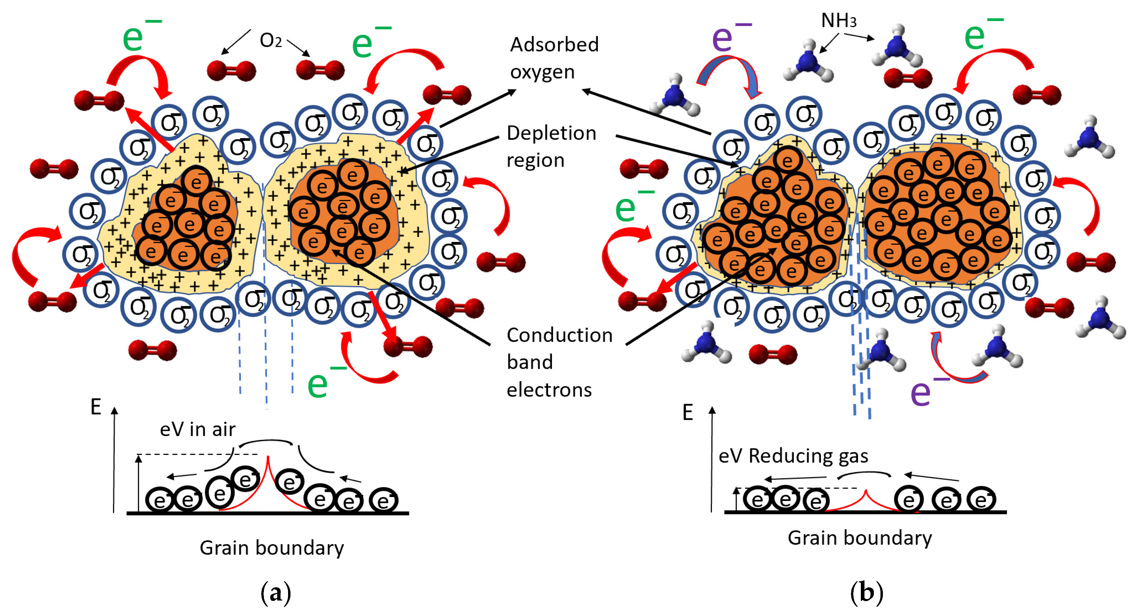 Chemosensors 10 00488 g005