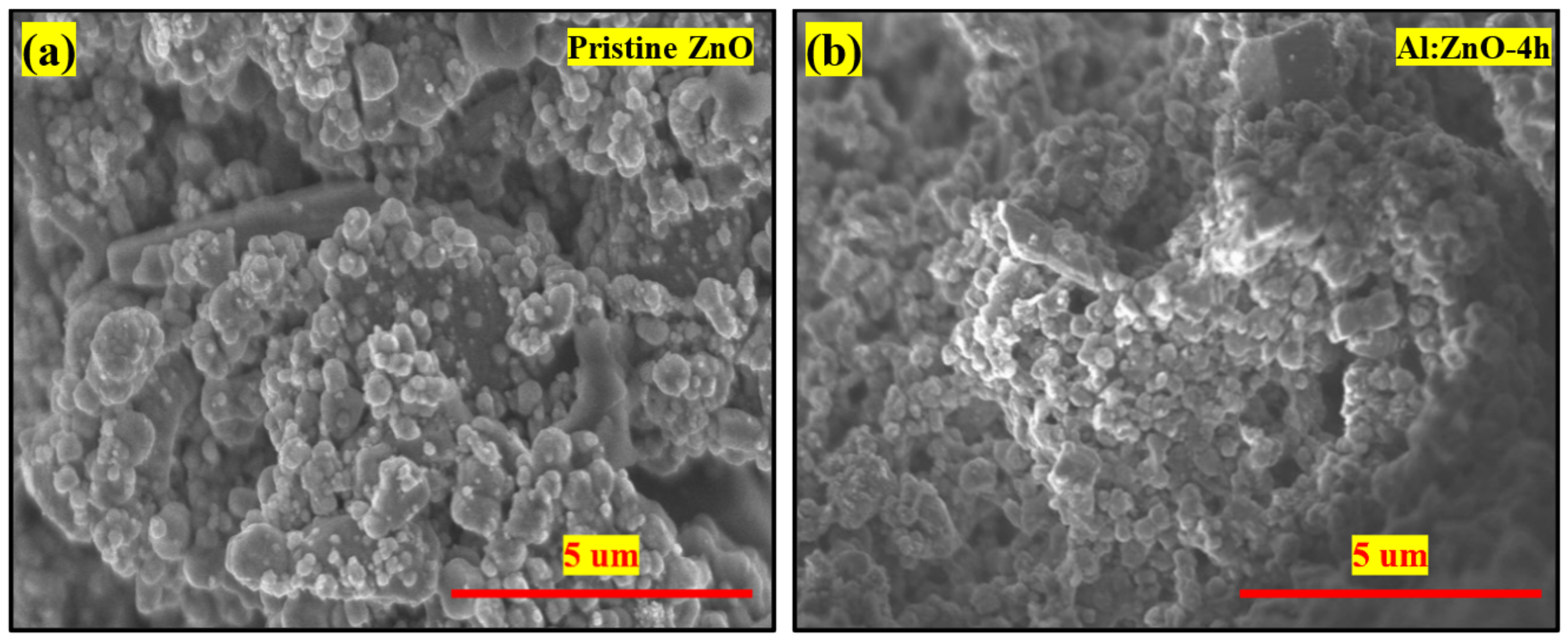 Chemosensors 10 00489 g006