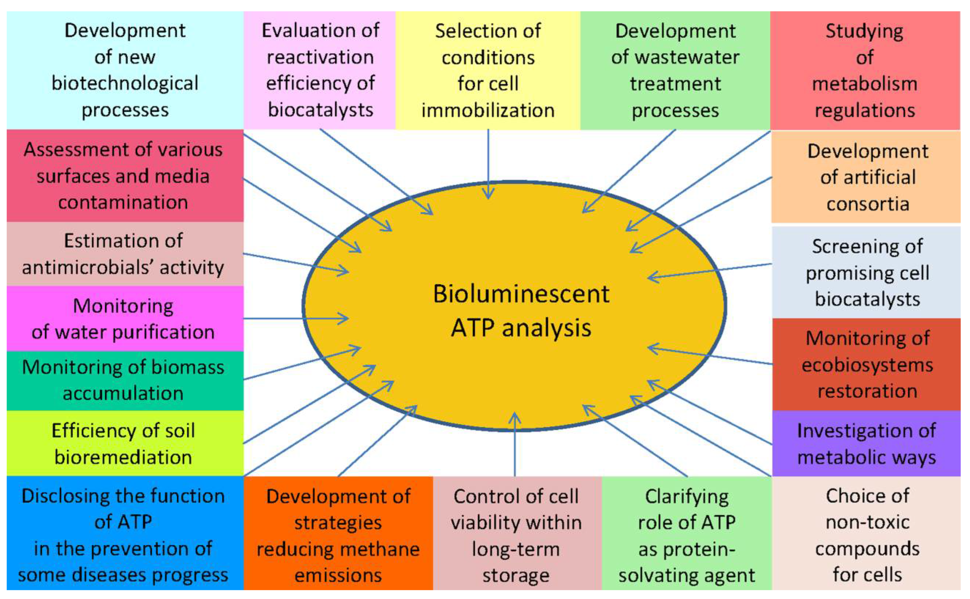 Chemosensors 10 00493 g005