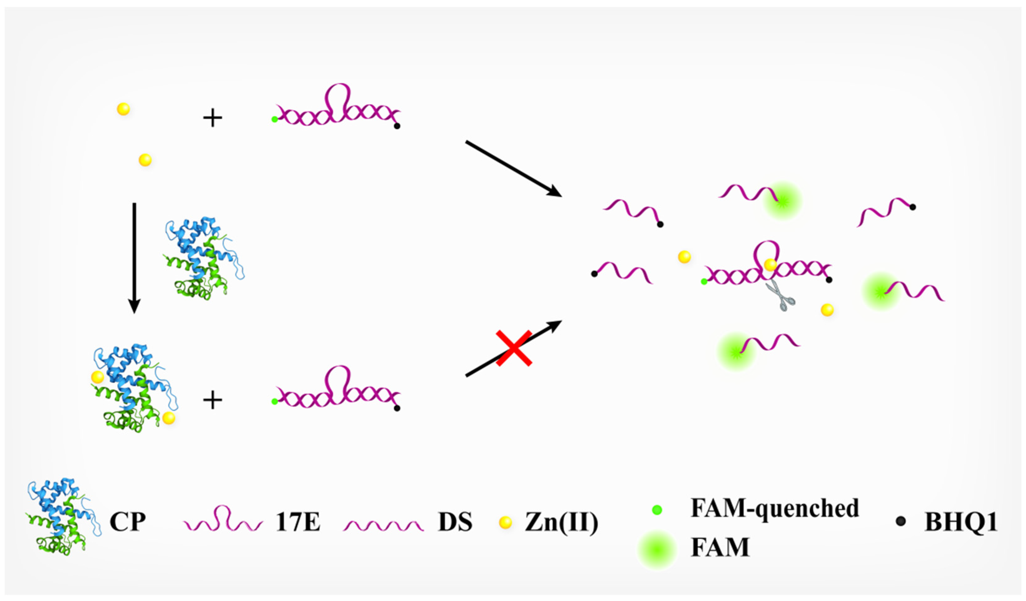 Chemosensors 10 00495 g001