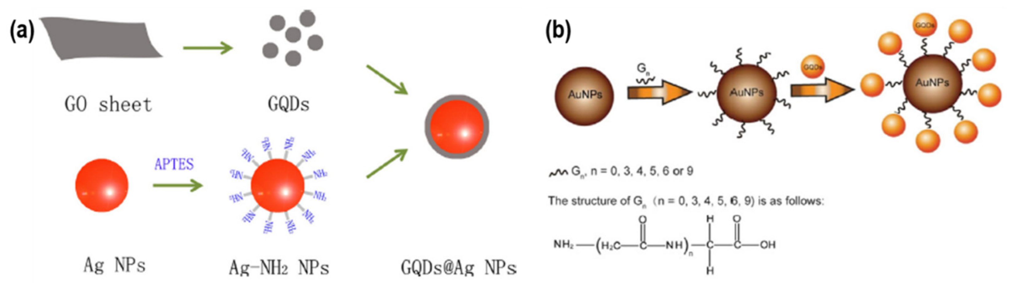 Chemosensors 10 00498 g008