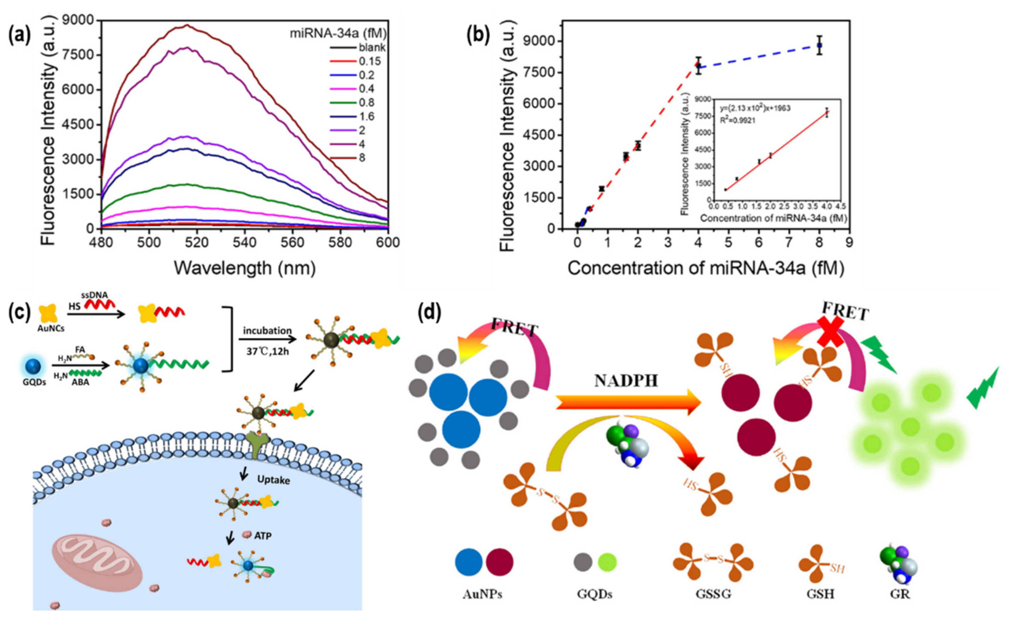 Chemosensors 10 00498 g009