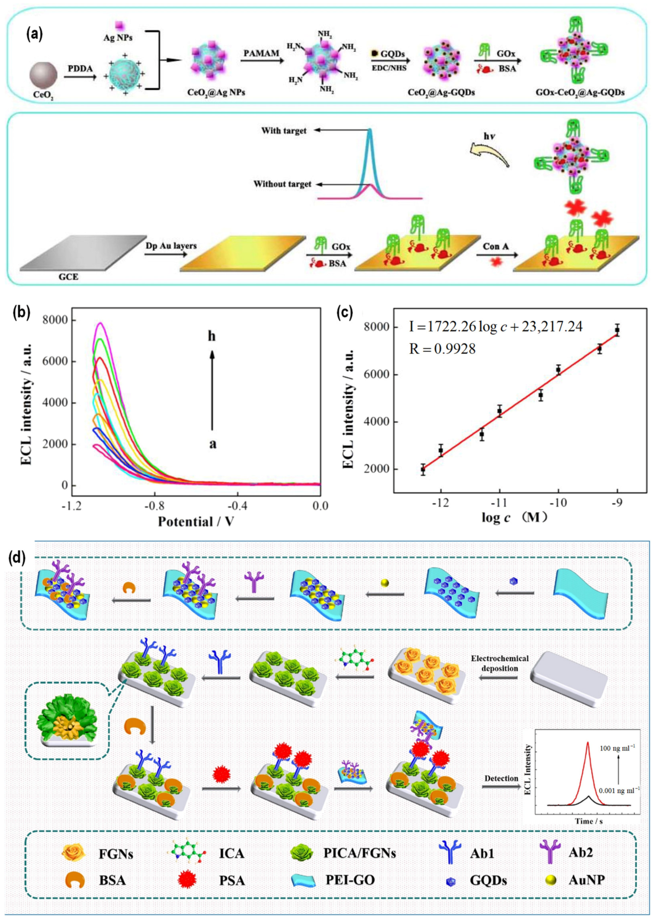 Chemosensors 10 00498 g011