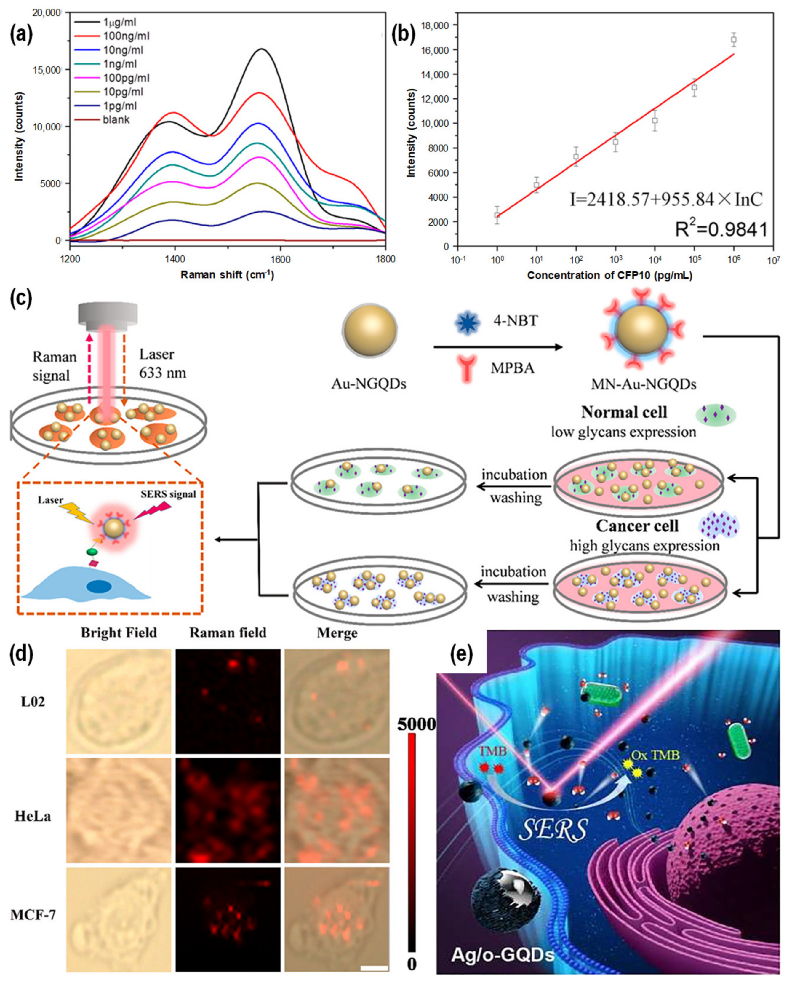 Chemosensors 10 00498 g012