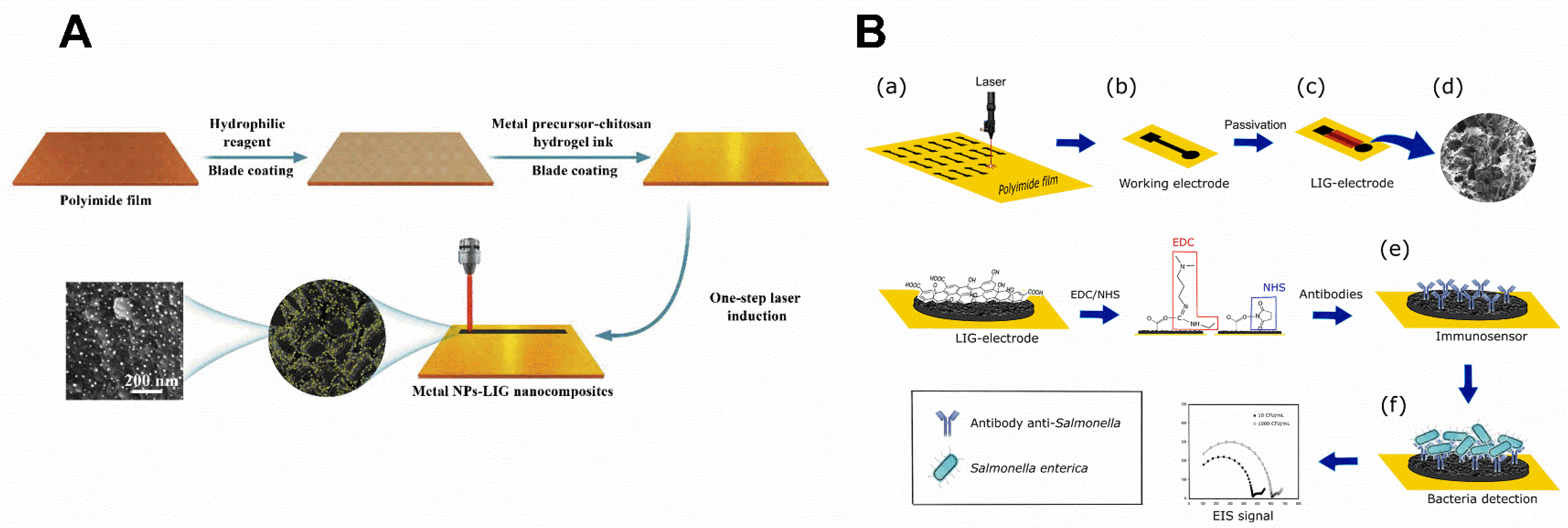 Chemosensors 10 00505 g004 Chemosensors 10 00505 g004