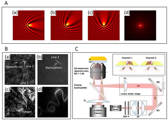 Chemosensors 10 00509 g002 550