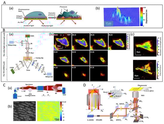 Chemosensors 10 00509 g003 550