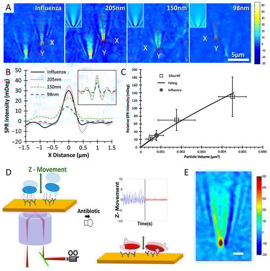 Chemosensors 10 00509 g004 550