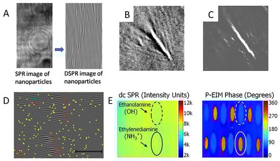 Chemosensors 10 00509 g005 550
