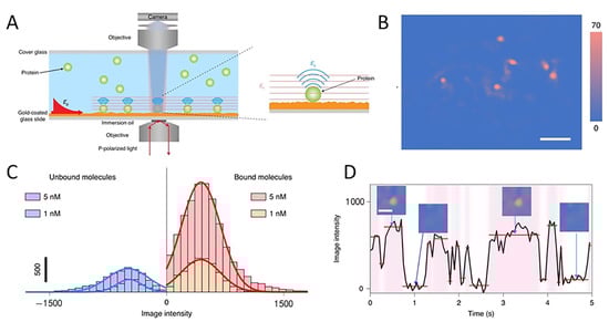 Chemosensors 10 00509 g006 550