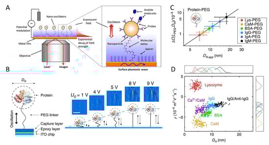 Chemosensors 10 00509 g007 550