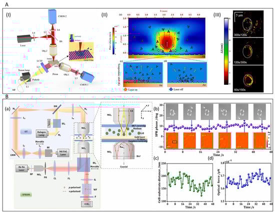 Chemosensors 10 00509 g009 550