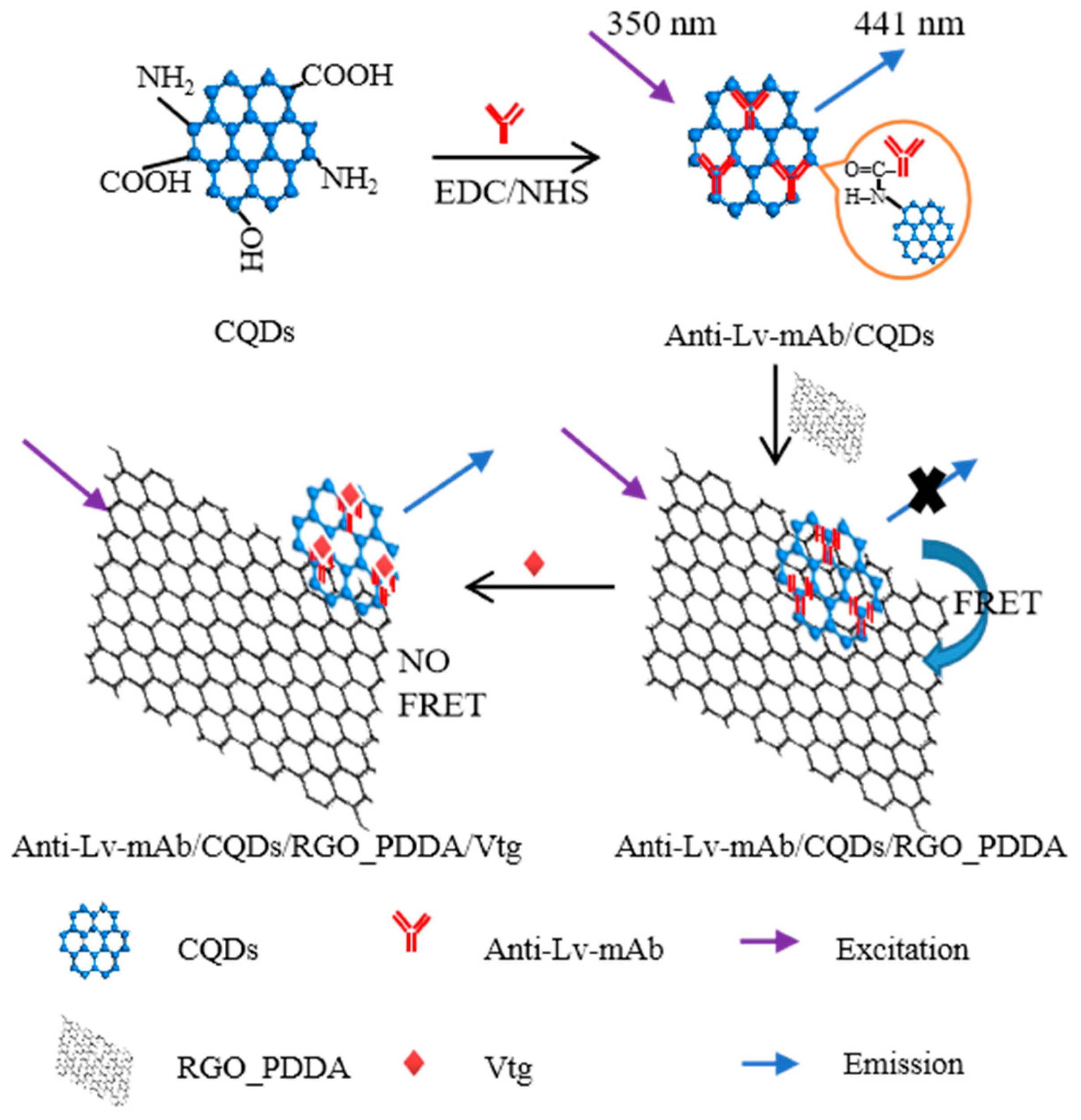 Chemosensors 10 00510 sch001