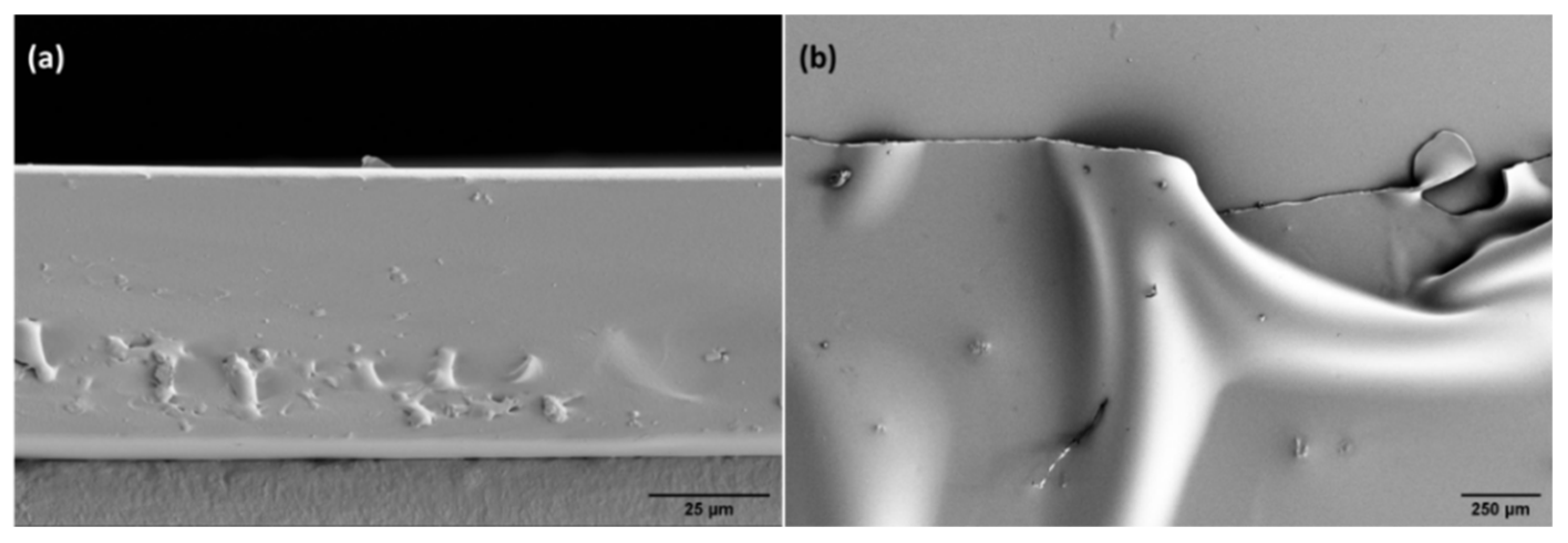 Chemosensors 10 00511 g003 Chemosensors 10 00511 g003