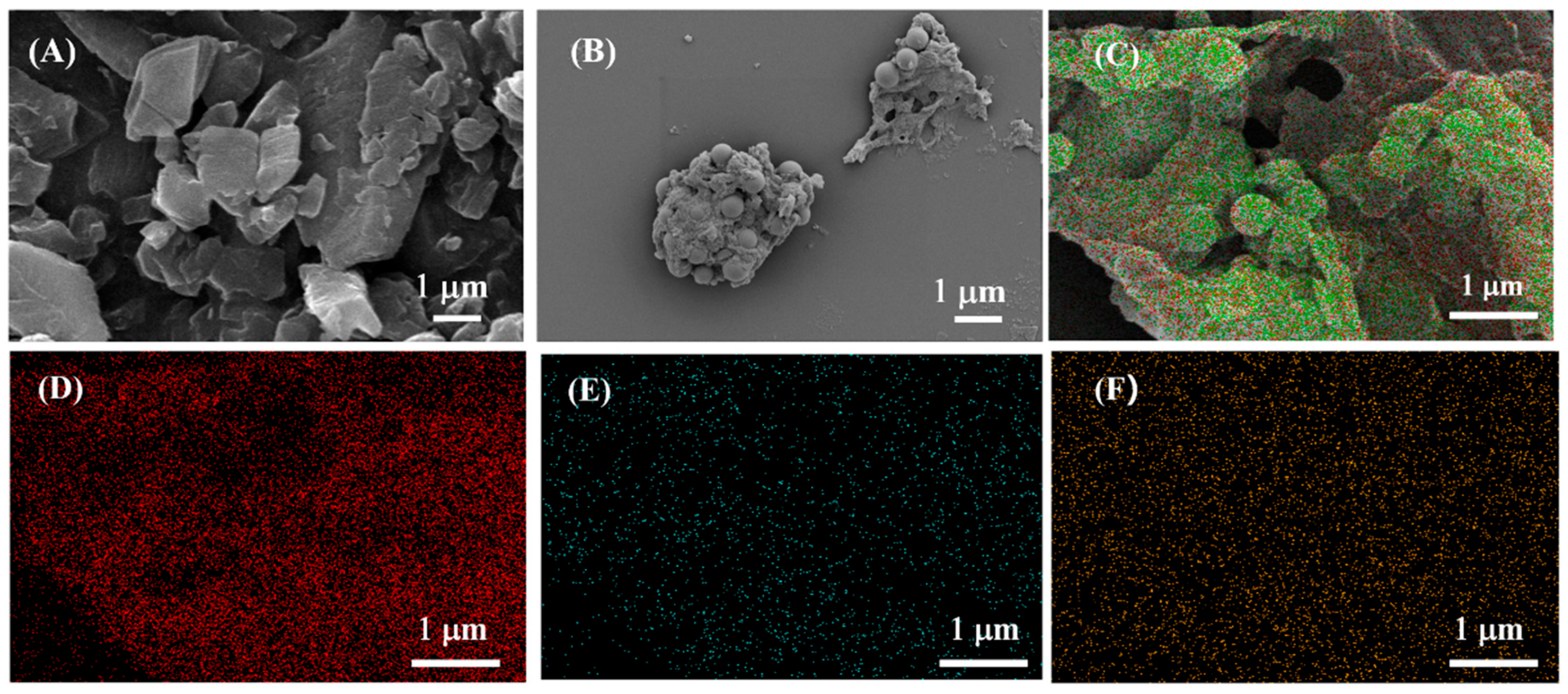 Chemosensors 10 00519 g001