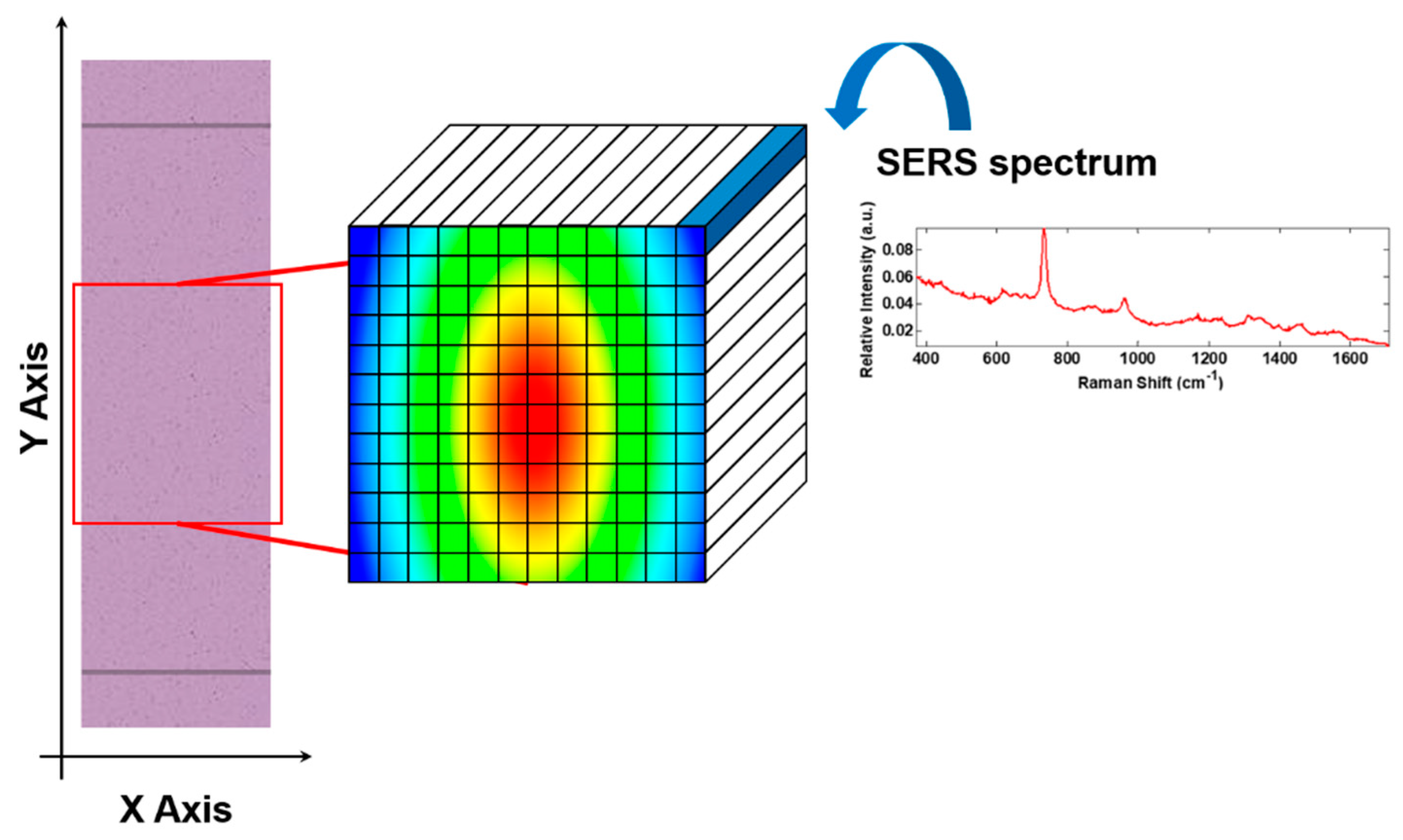 Chemosensors 10 00528 g002
