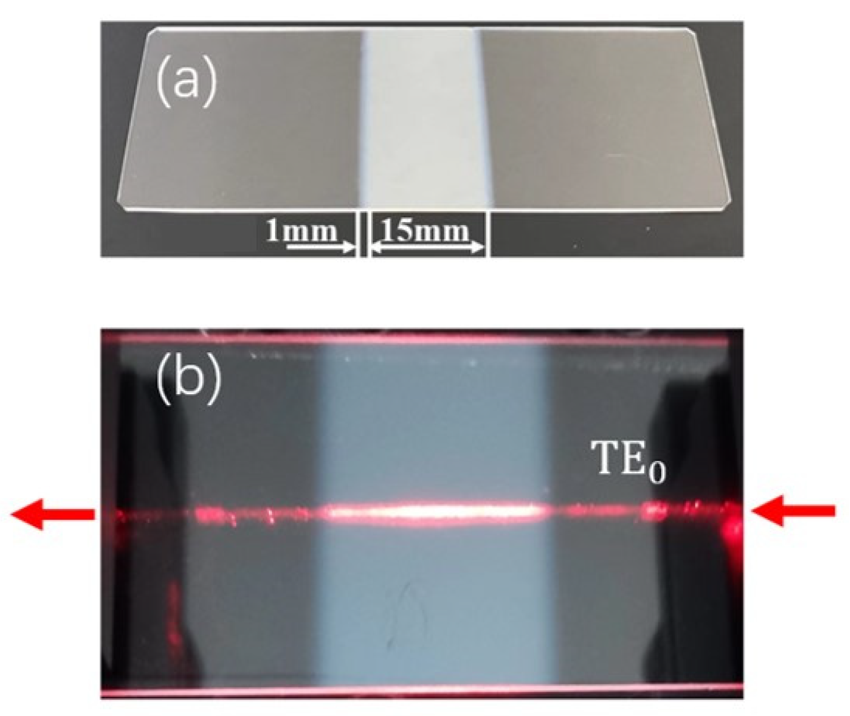 Chemosensors 10 00535 g005