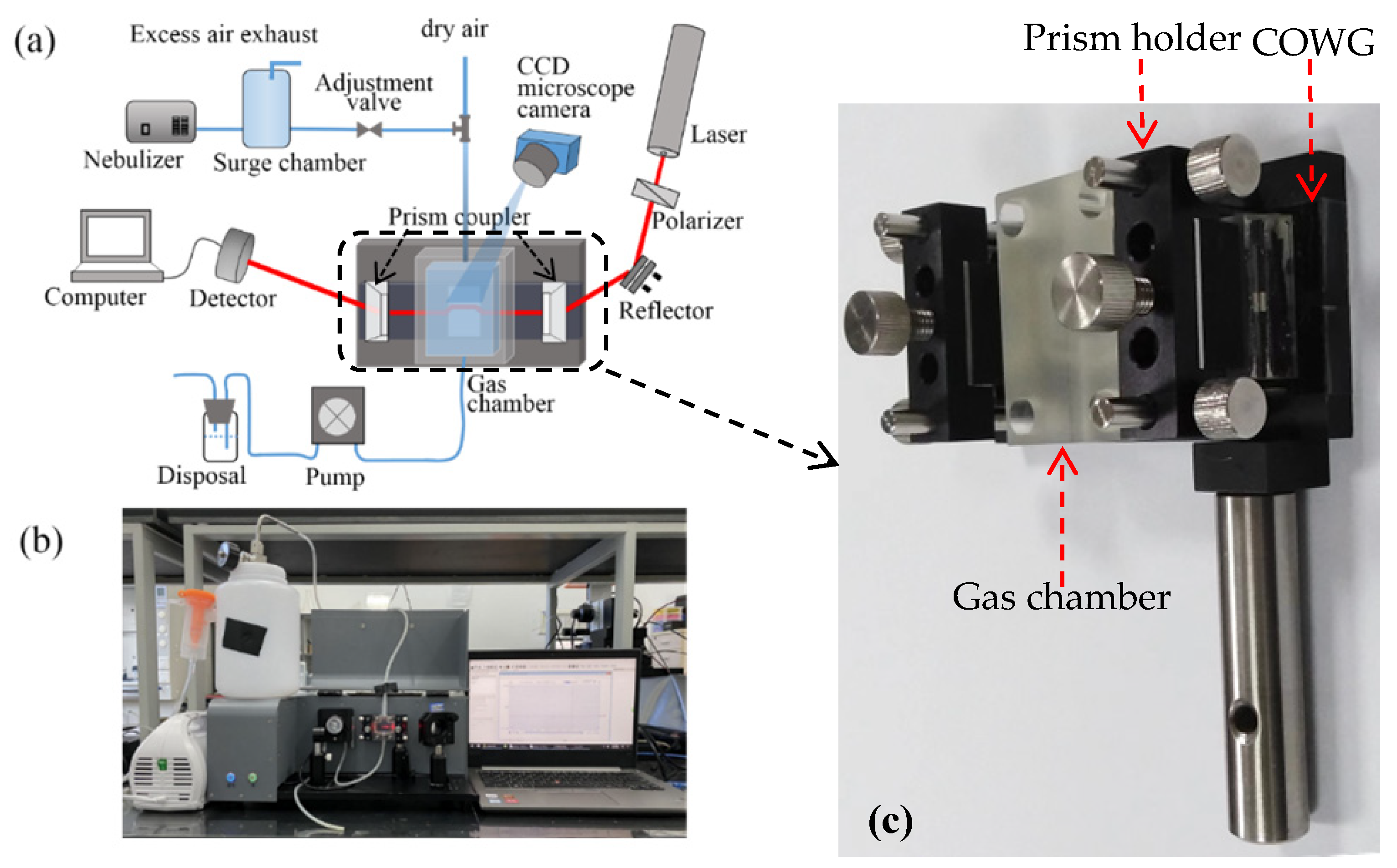 Chemosensors 10 00535 g006