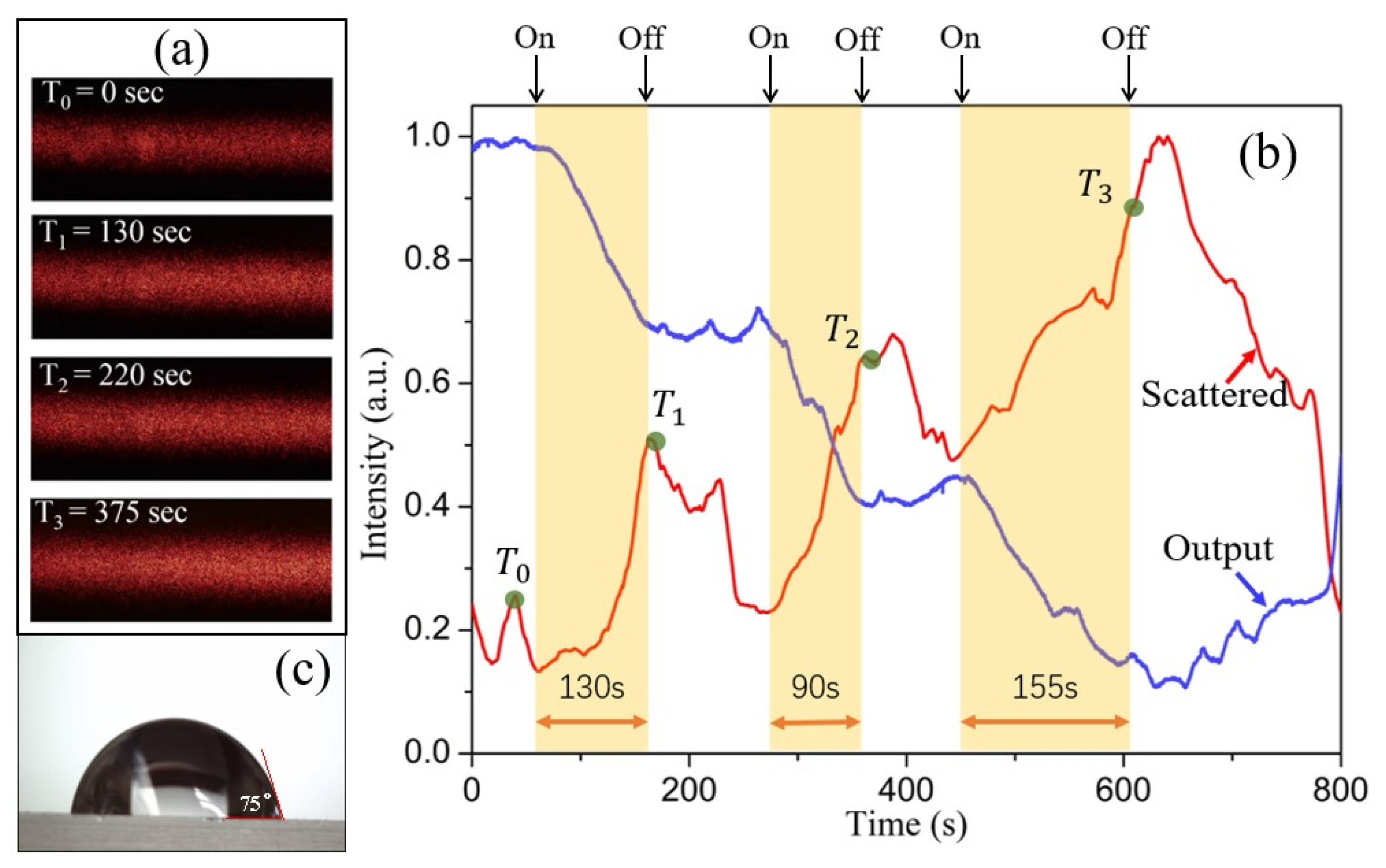 Chemosensors 10 00535 g008