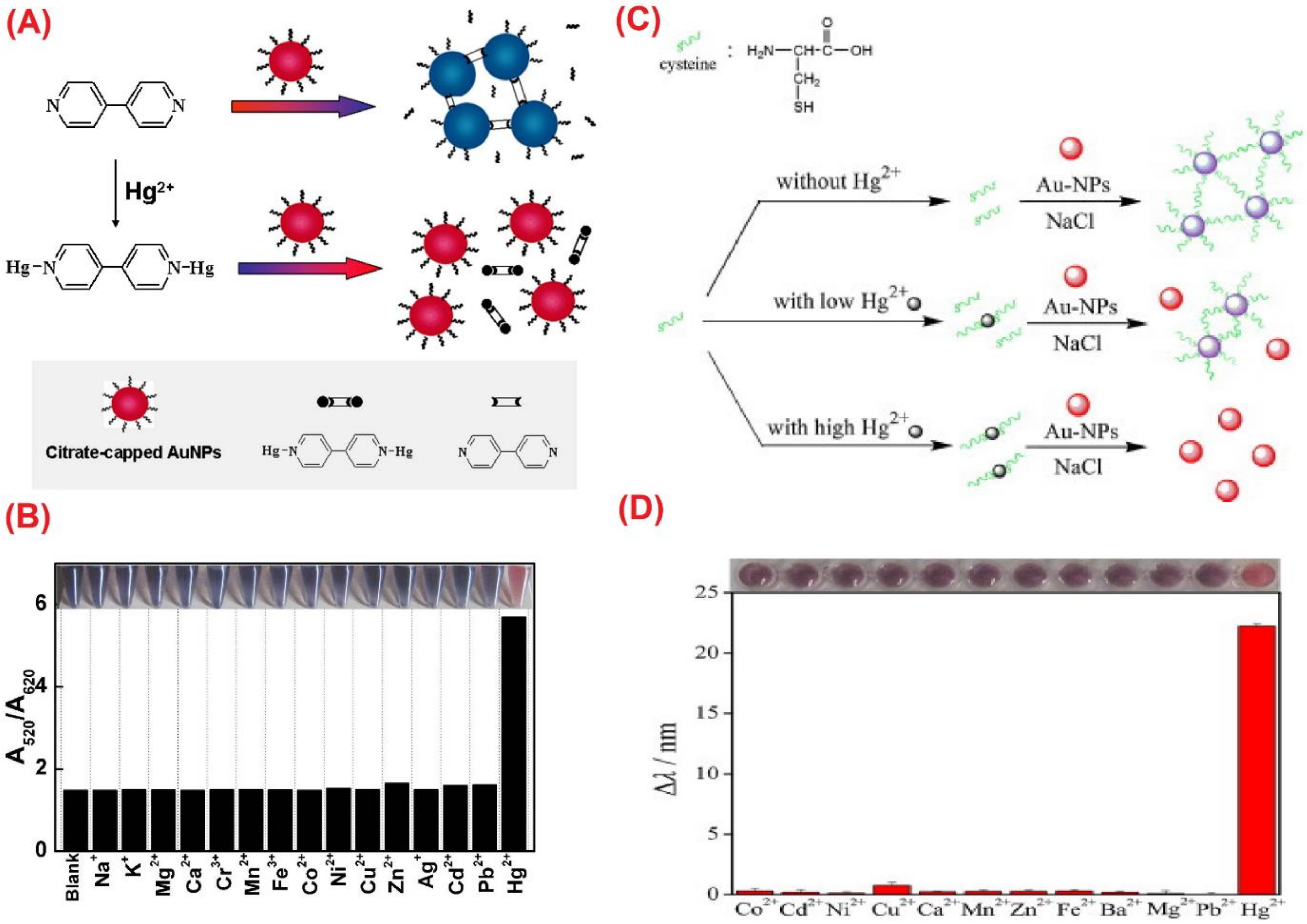 Chemosensors 10 00536 g002 Chemosensors 10 00536 g002