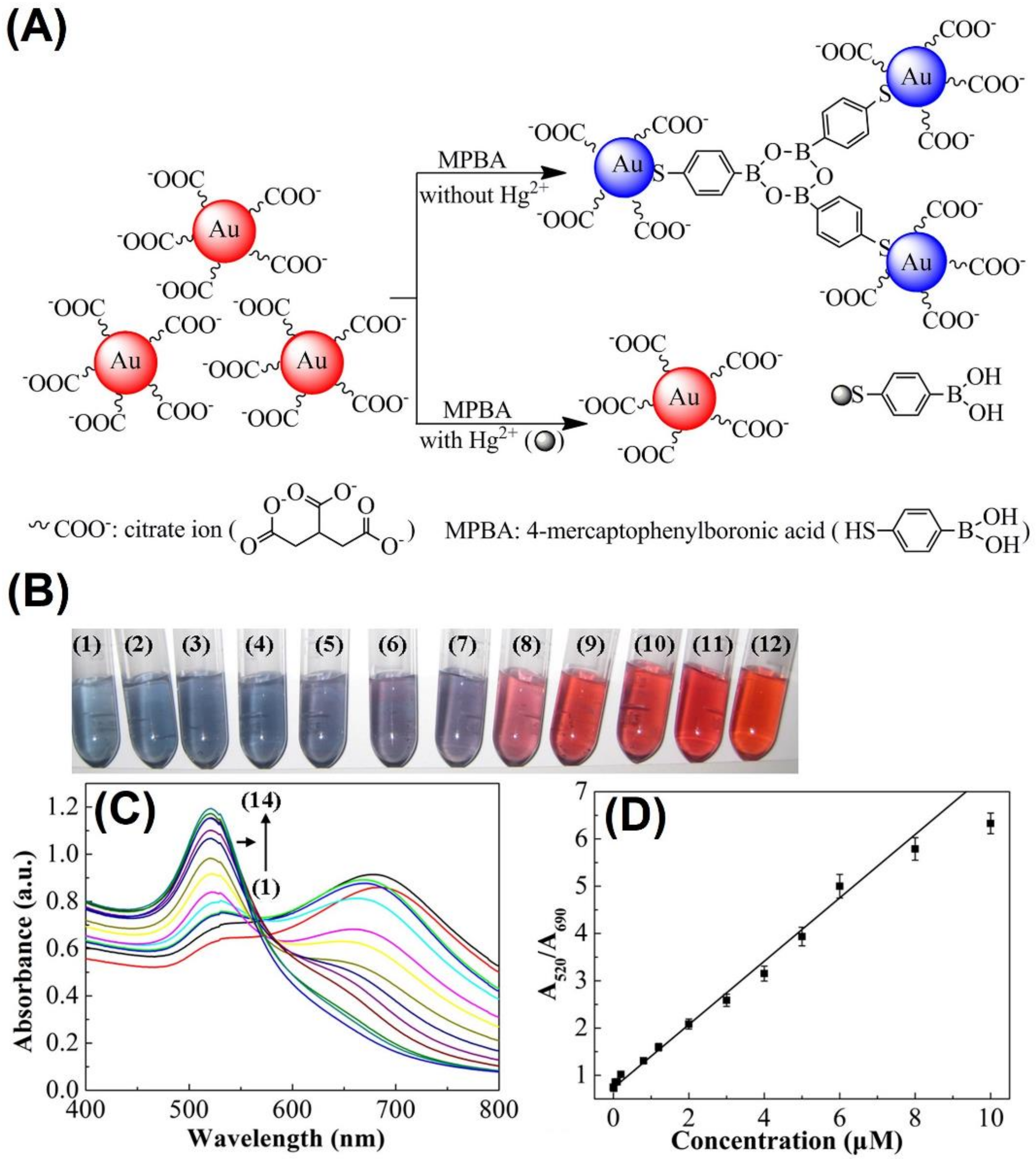 Chemosensors 10 00536 g004 Chemosensors 10 00536 g004
