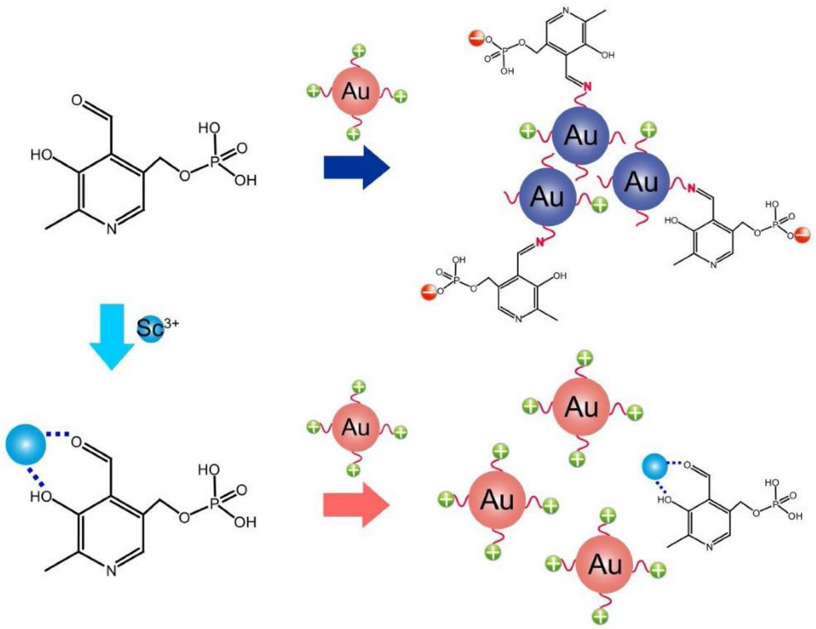 Chemosensors 10 00536 g007 Chemosensors 10 00536 g007