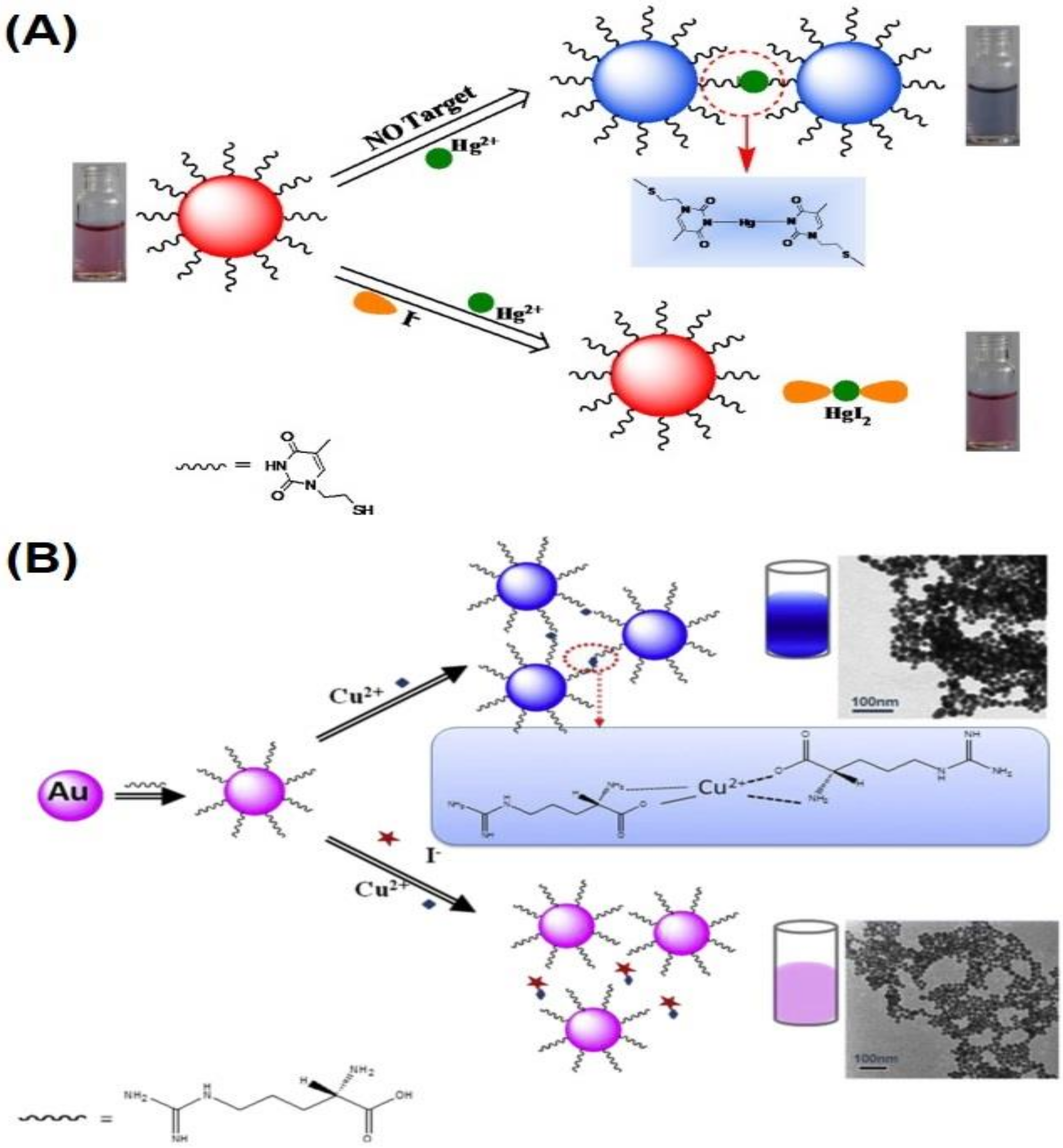 Chemosensors 10 00536 g008 Chemosensors 10 00536 g008