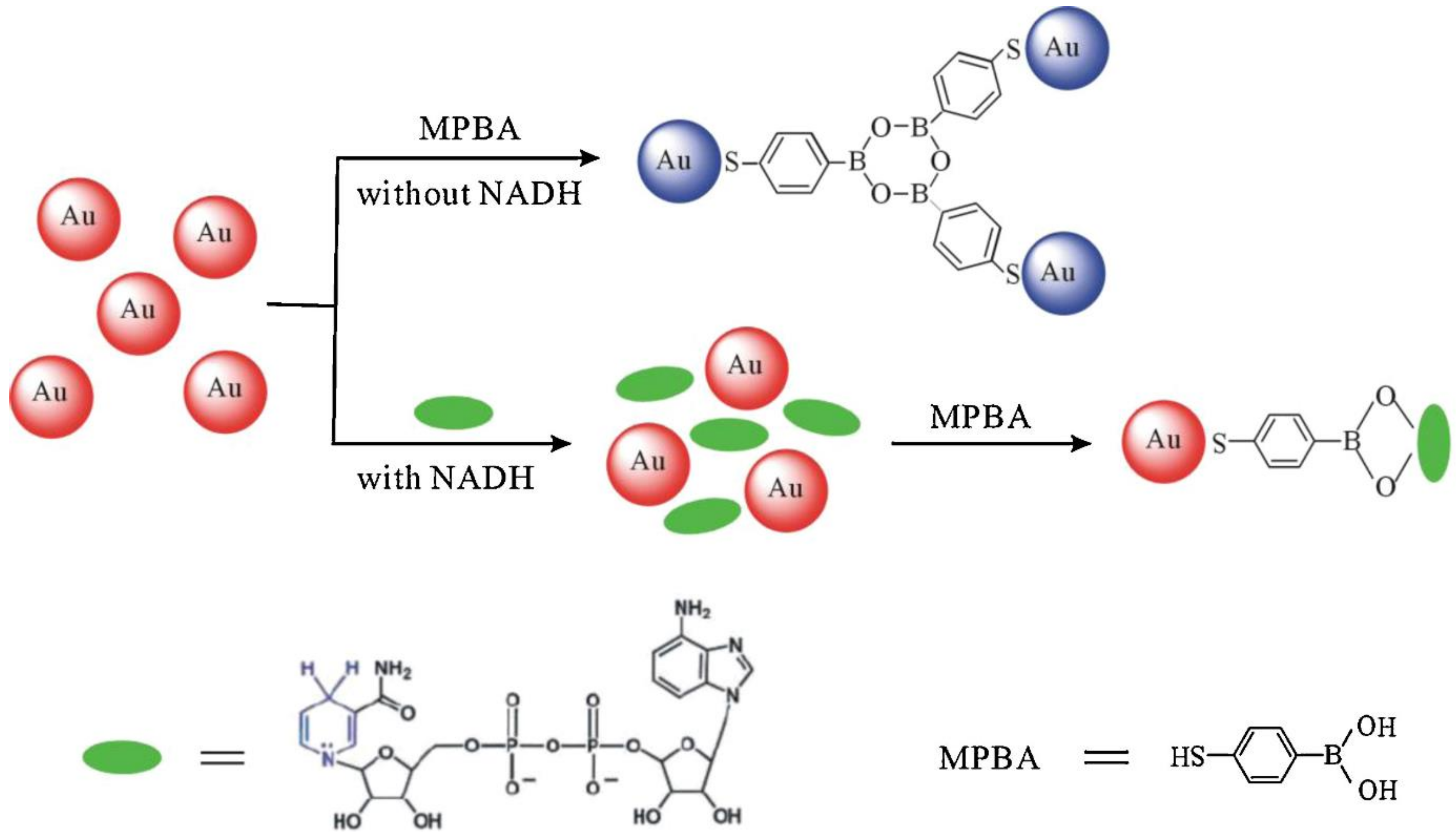 Chemosensors 10 00536 g015 Chemosensors 10 00536 g015